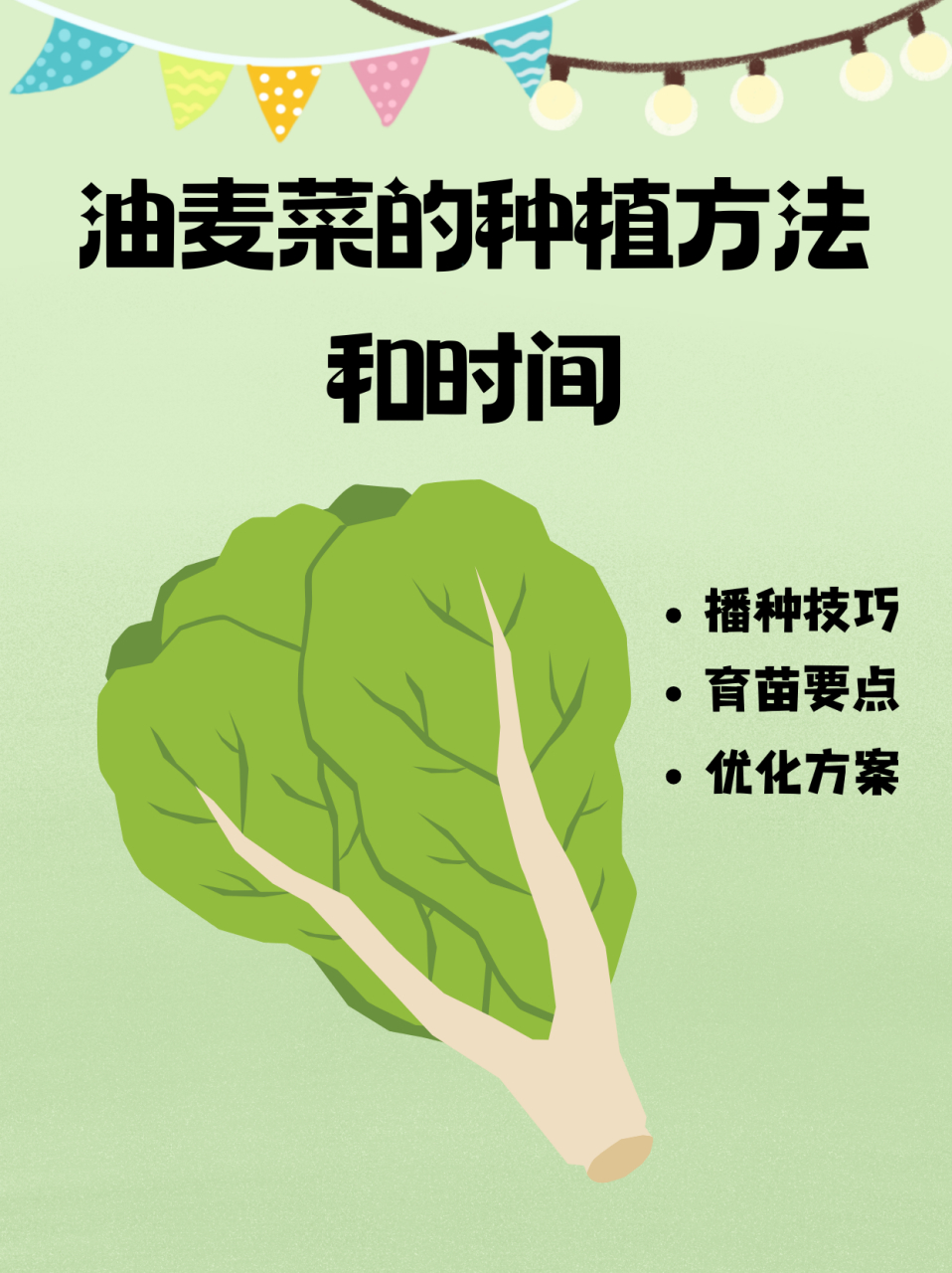 油麦菜的种植方法和时间  油麦菜适应能力强,在各个季节都能种植.