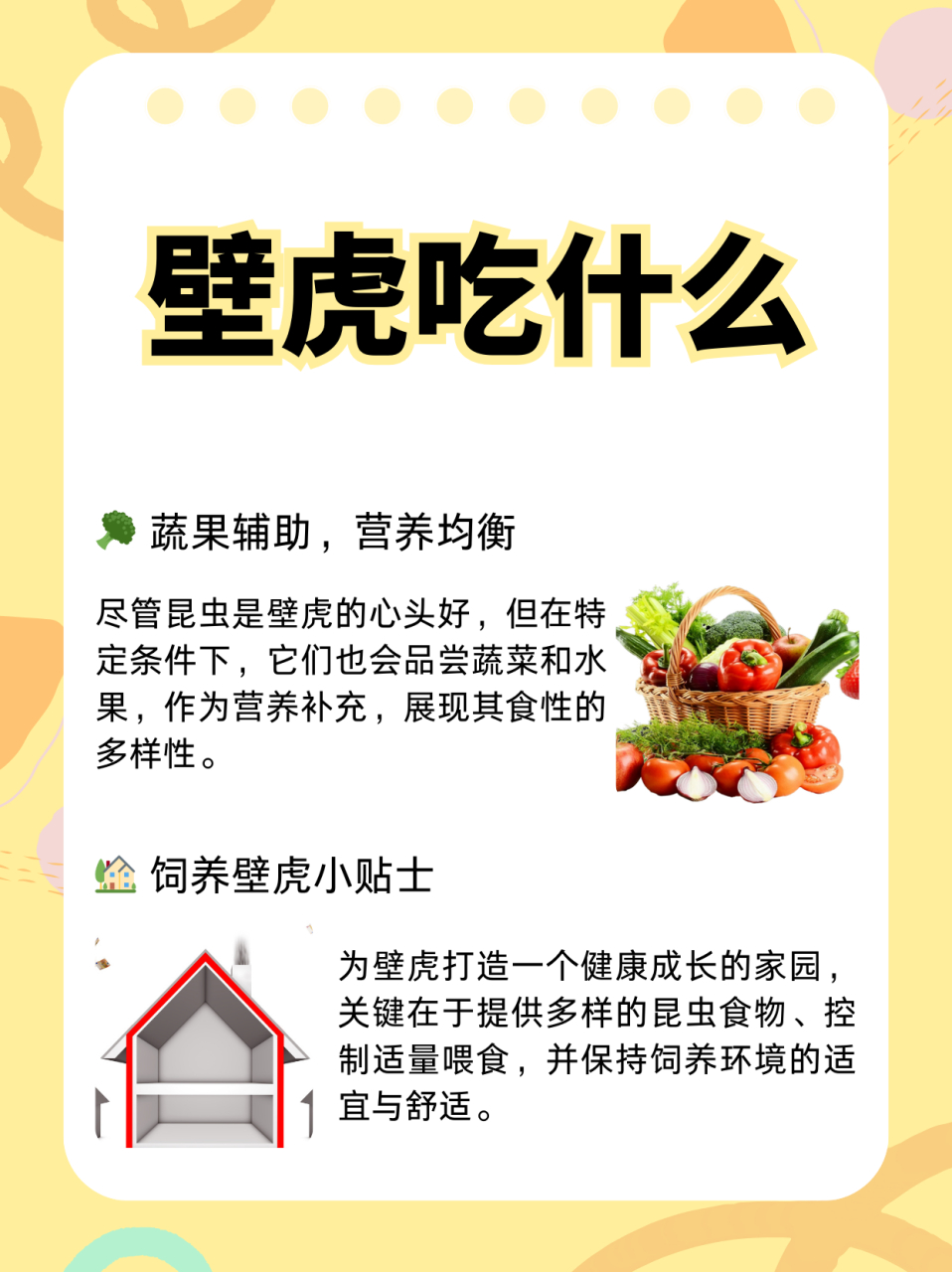 壁虎吃什么  壁虎是一种食性较杂的动物,其喜欢的食物种类较多,但主要