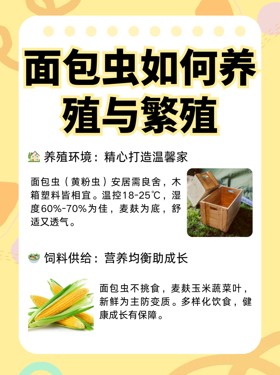 面包虫如何养殖与繁殖  面包虫,也叫黄粉虫,其养殖与繁殖需要注意以下