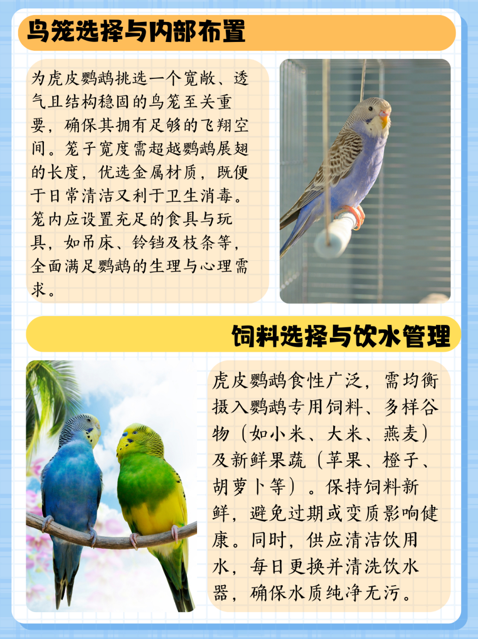 虎皮鹦鹉的养殖方法和注意事项  养殖方法 鸟笼选择: 选择一个宽敞