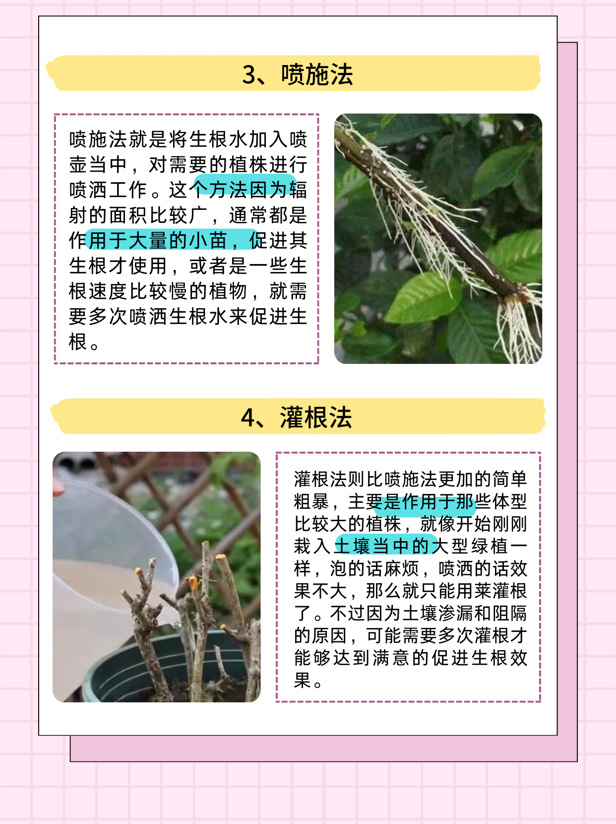 生根粉的5个正确用法: 1,浸泡法 生根粉的浸泡用法,就是把生根粉与