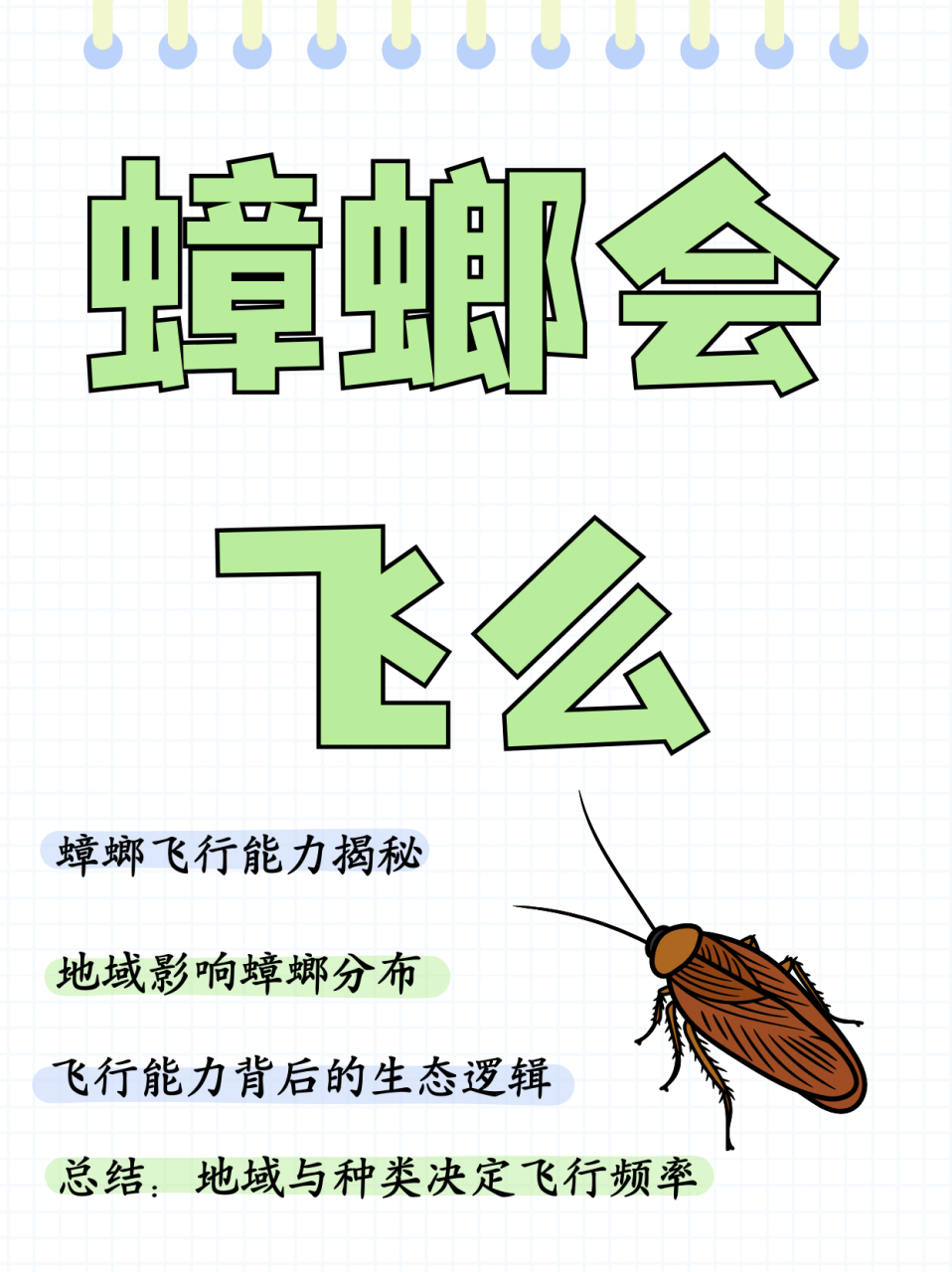 蟑螂会飞吗 硬壳图片