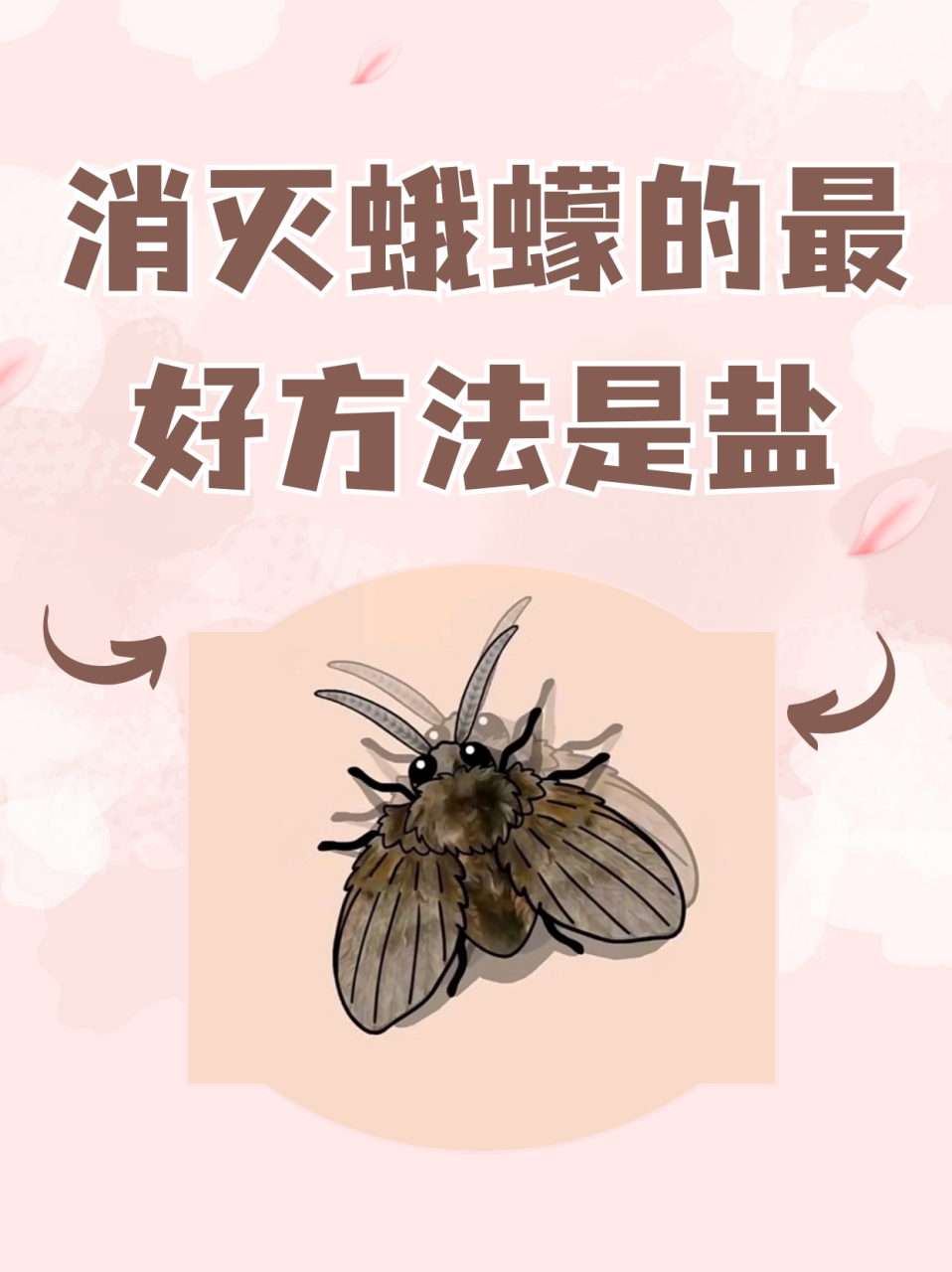 椿象虫快速有效杀死图片