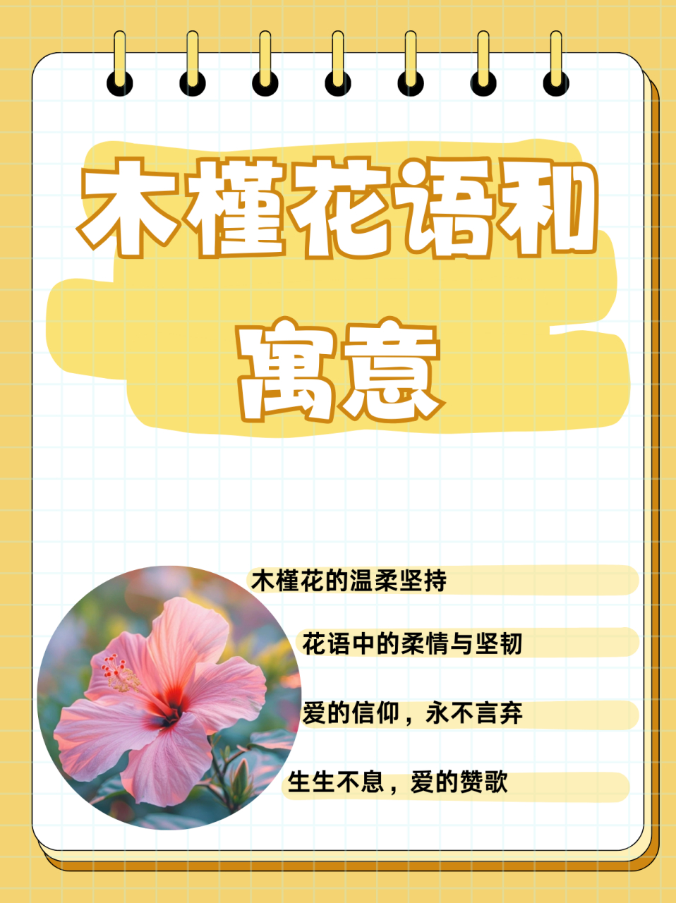 木槿花语和寓意  木槿花,也叫无穷花.木槿花的花语是:温柔的坚持.