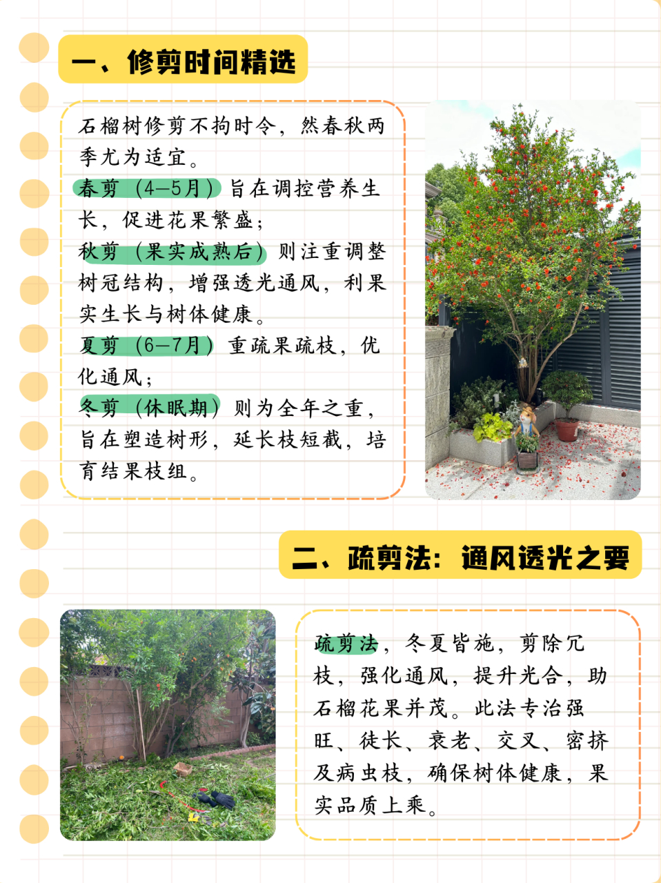 石榴树修剪时间和方法  一,修剪时间 石榴树的修剪可以在一年四季中的