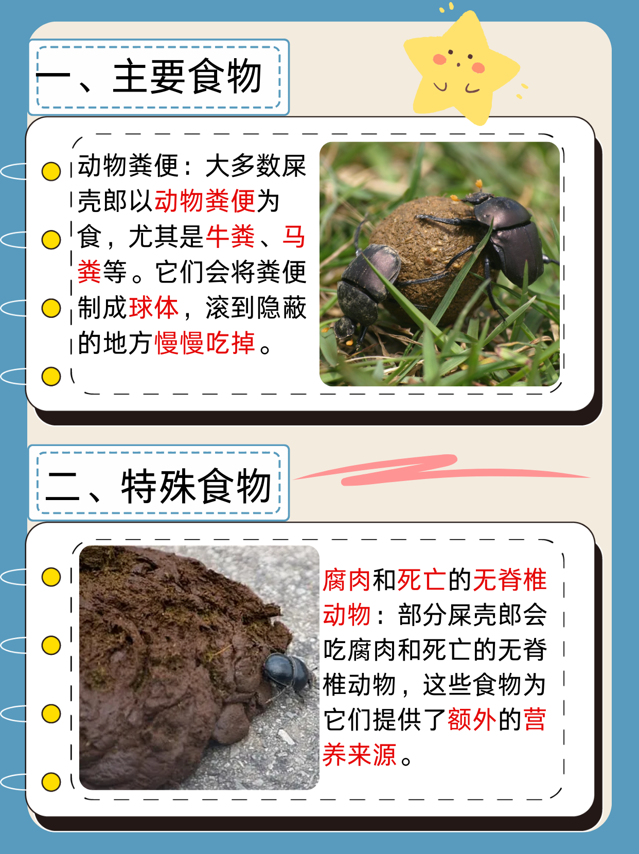 屎壳郎吃什么  屎壳郎的食物选择相当广泛,这与其在生态系统中的角色