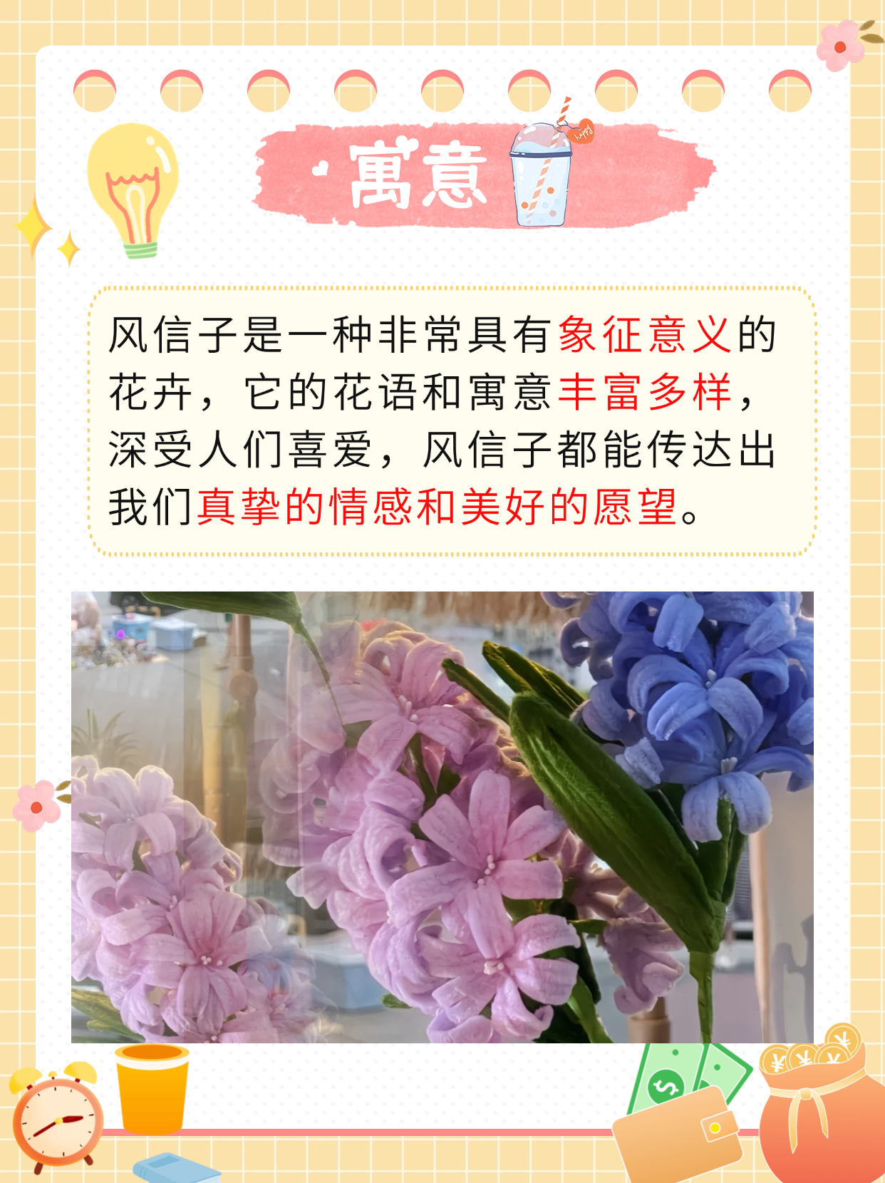 风信子的花语和寓意  风信子是一种非常受欢迎的春季开花植物,不仅以