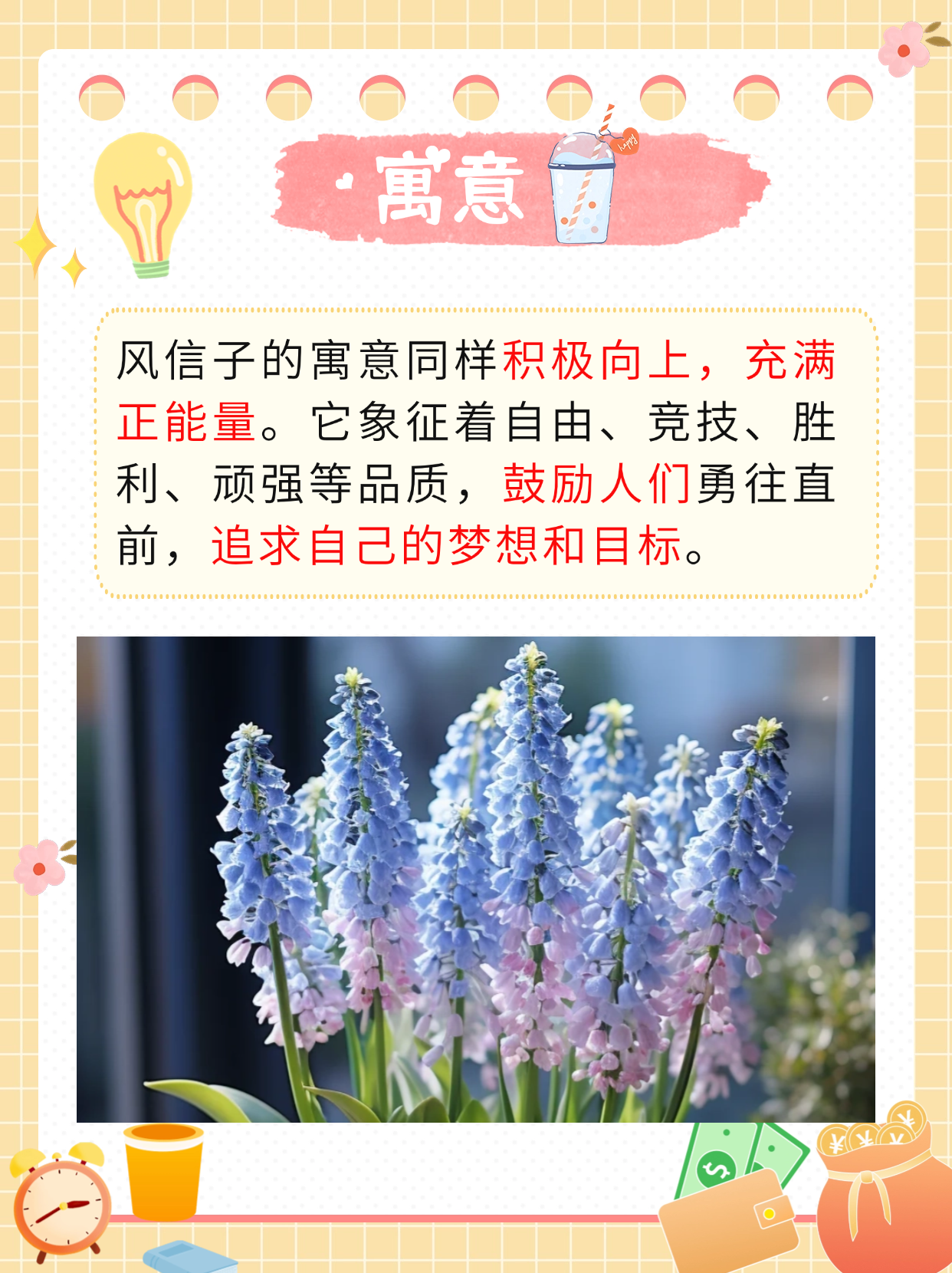 风信子花语 寓意图片