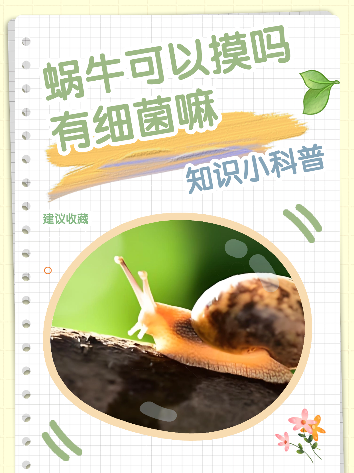 为什么蜗牛遇到盐会融化