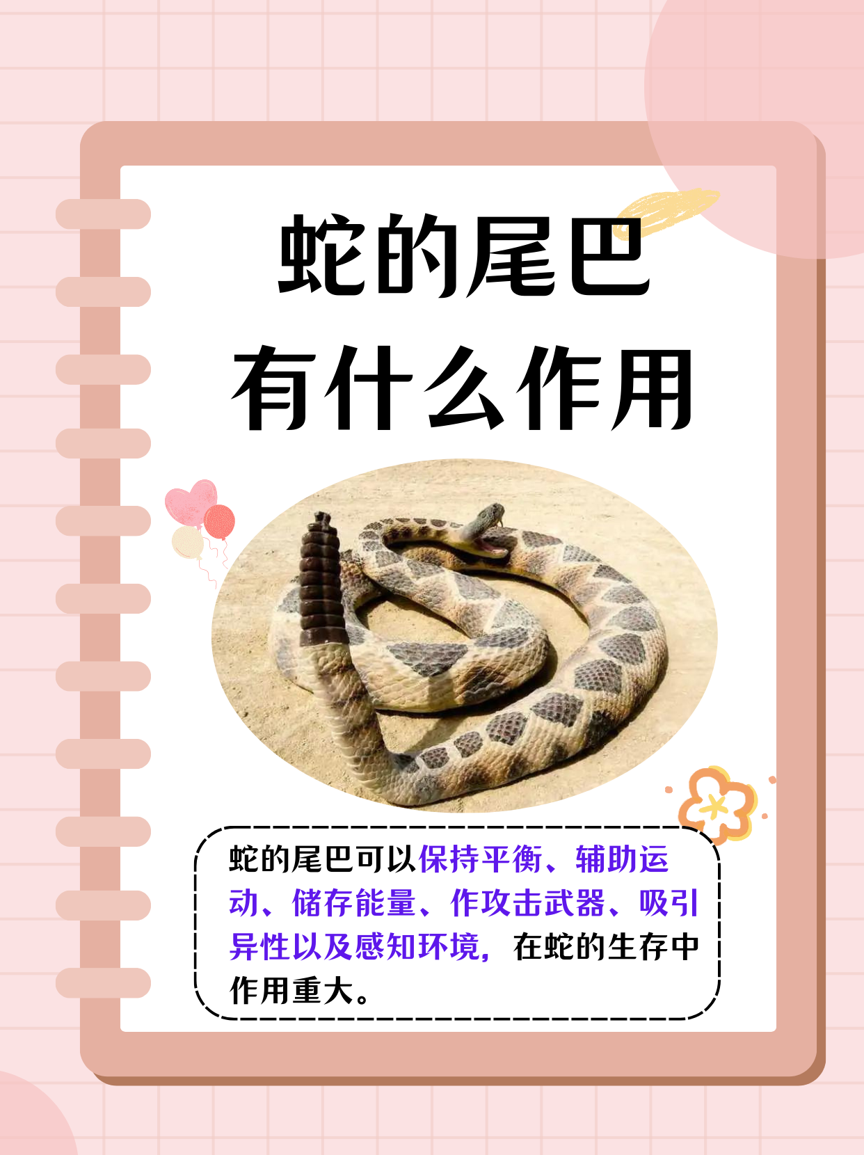 在神秘的动物世界中,蛇以其独特的形态和习性