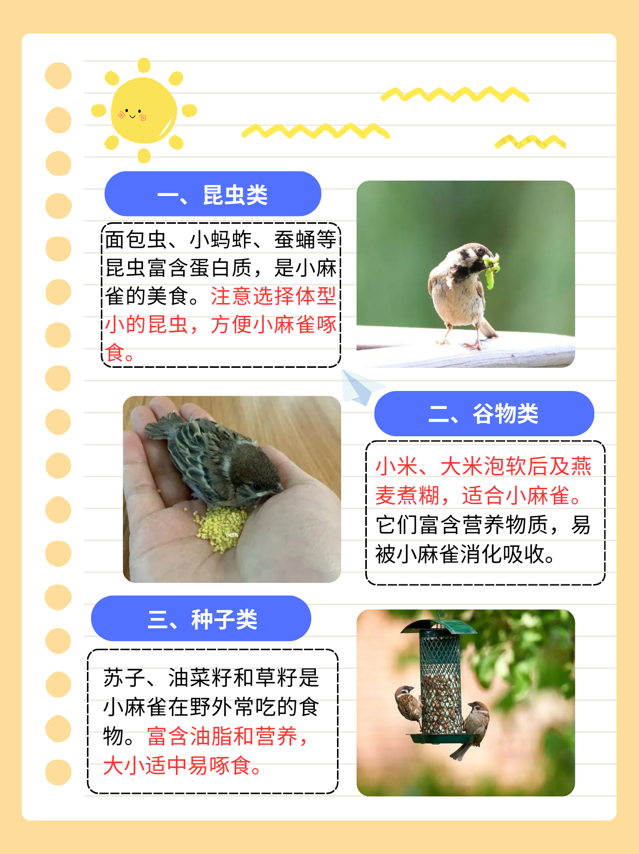 小麻雀吃什么才能养活  在我们的生活中,有时会遇到需要救助小麻雀的