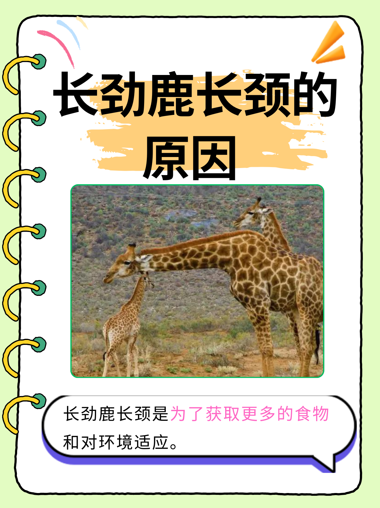 长颈鹿以其独特的长脖子而闻名于世,那么长颈鹿的