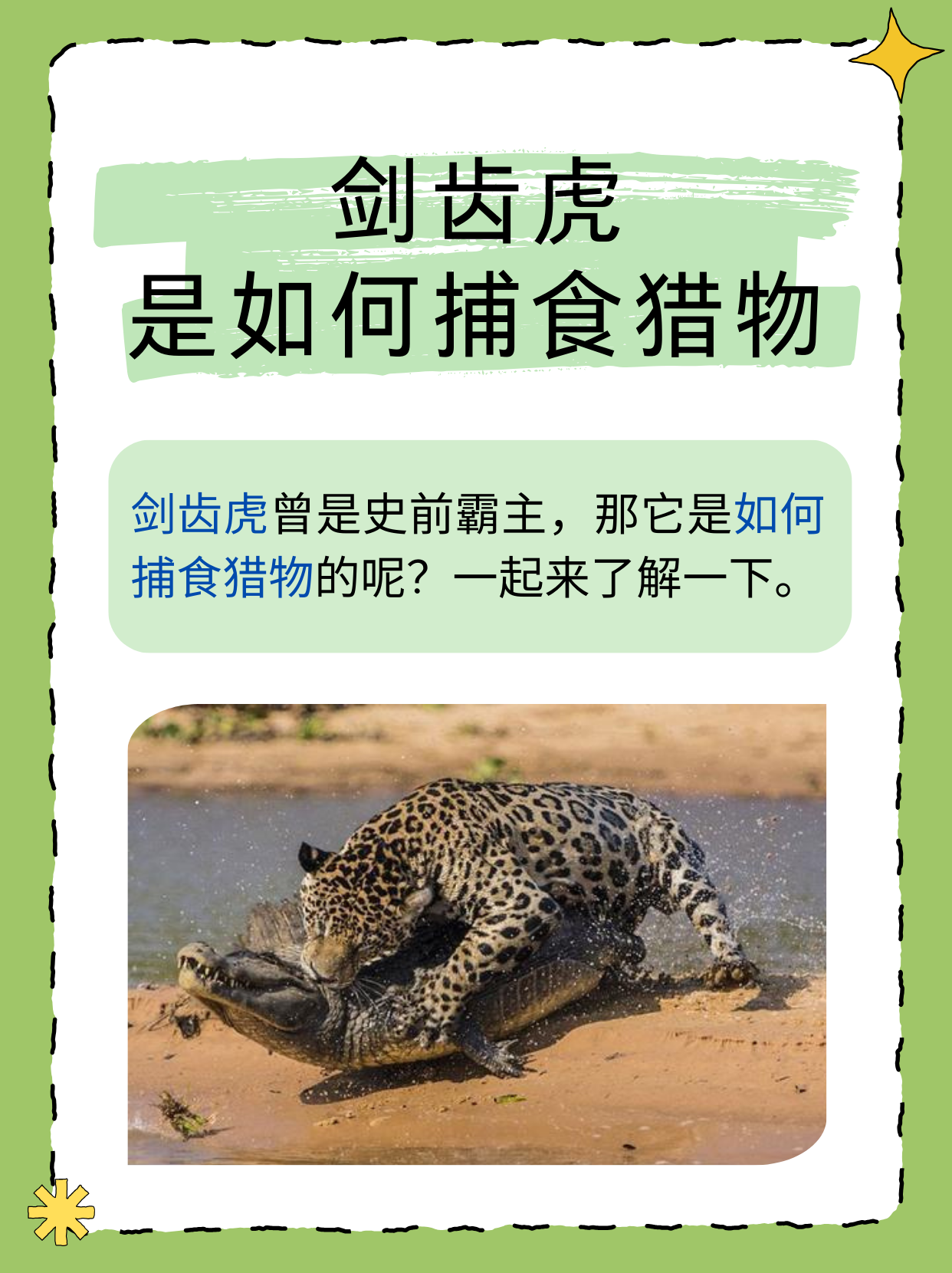 那么,剑齿虎是如何捕食猎物的呢?