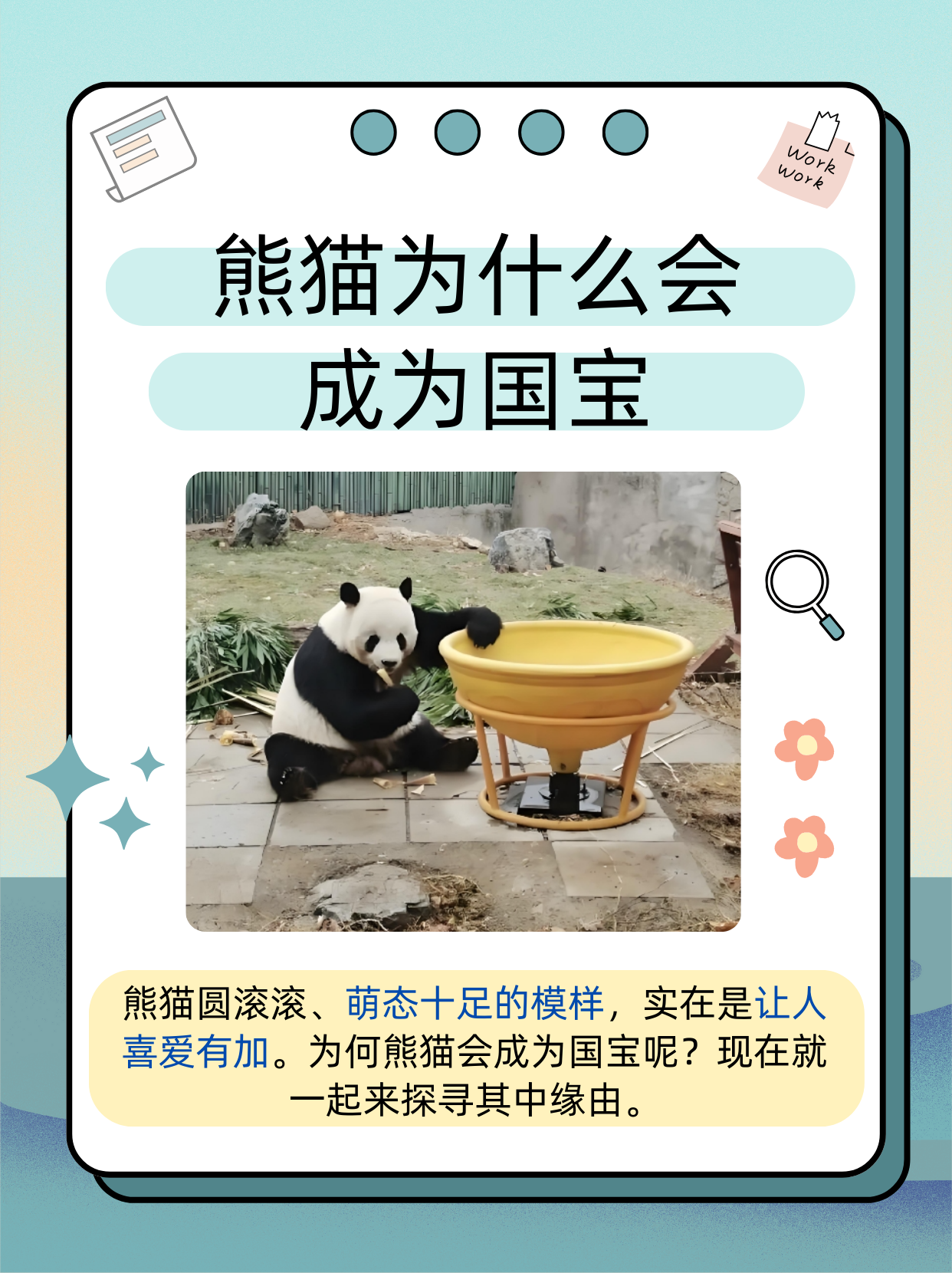 为什么熊猫会成为国宝呢?