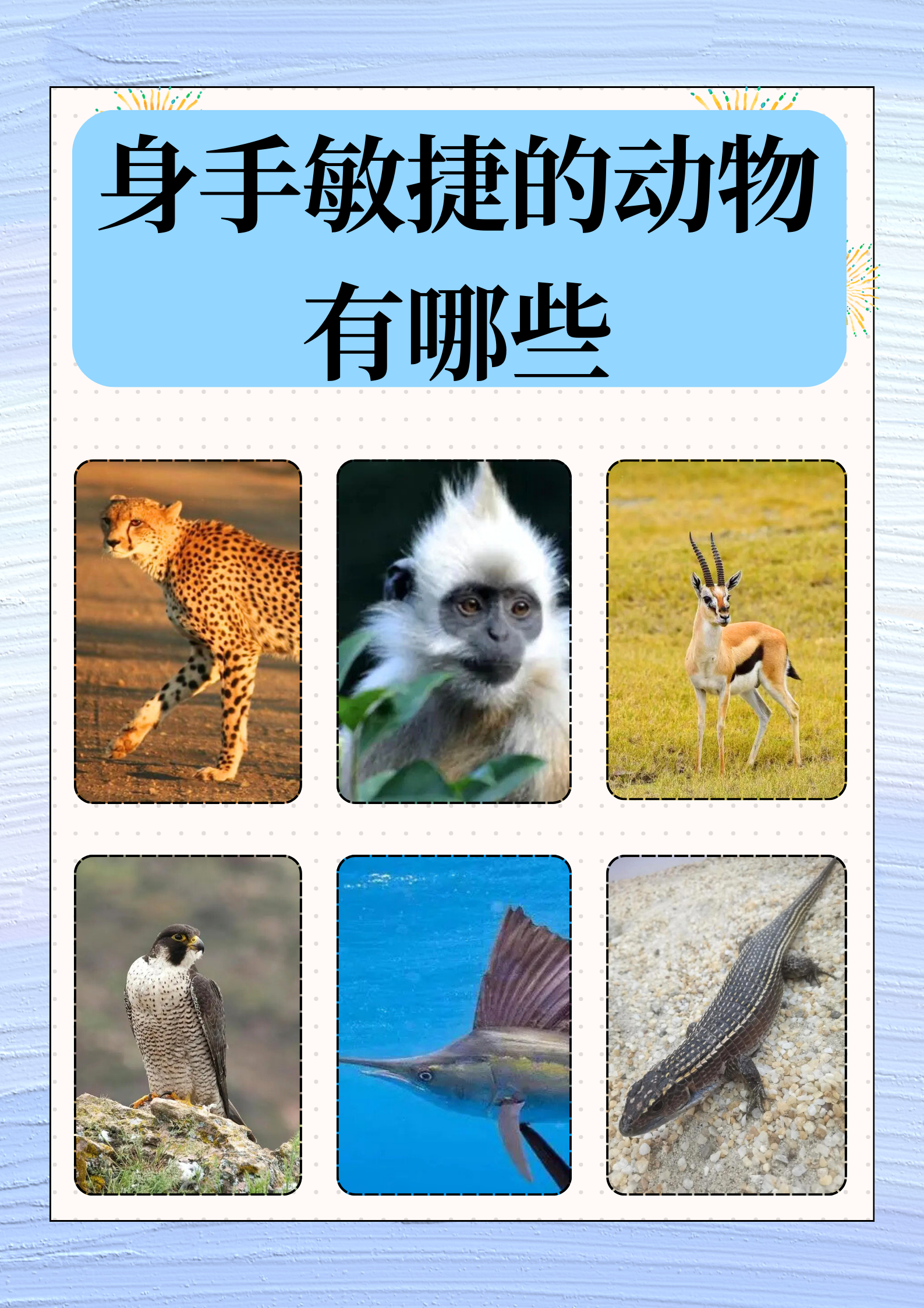 势不可挡指什么动物