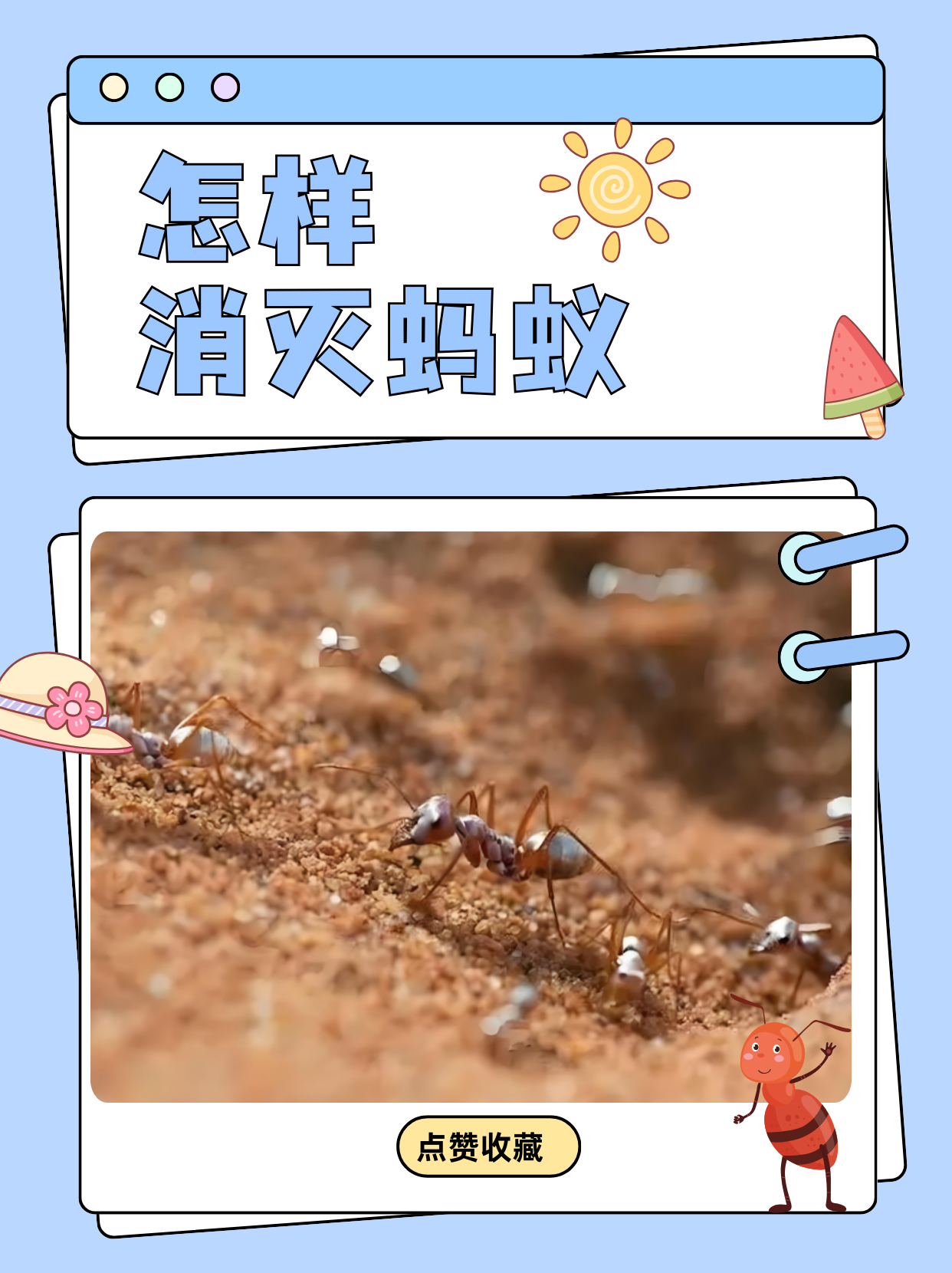 为什么瓷砖缝会生蚂蚁