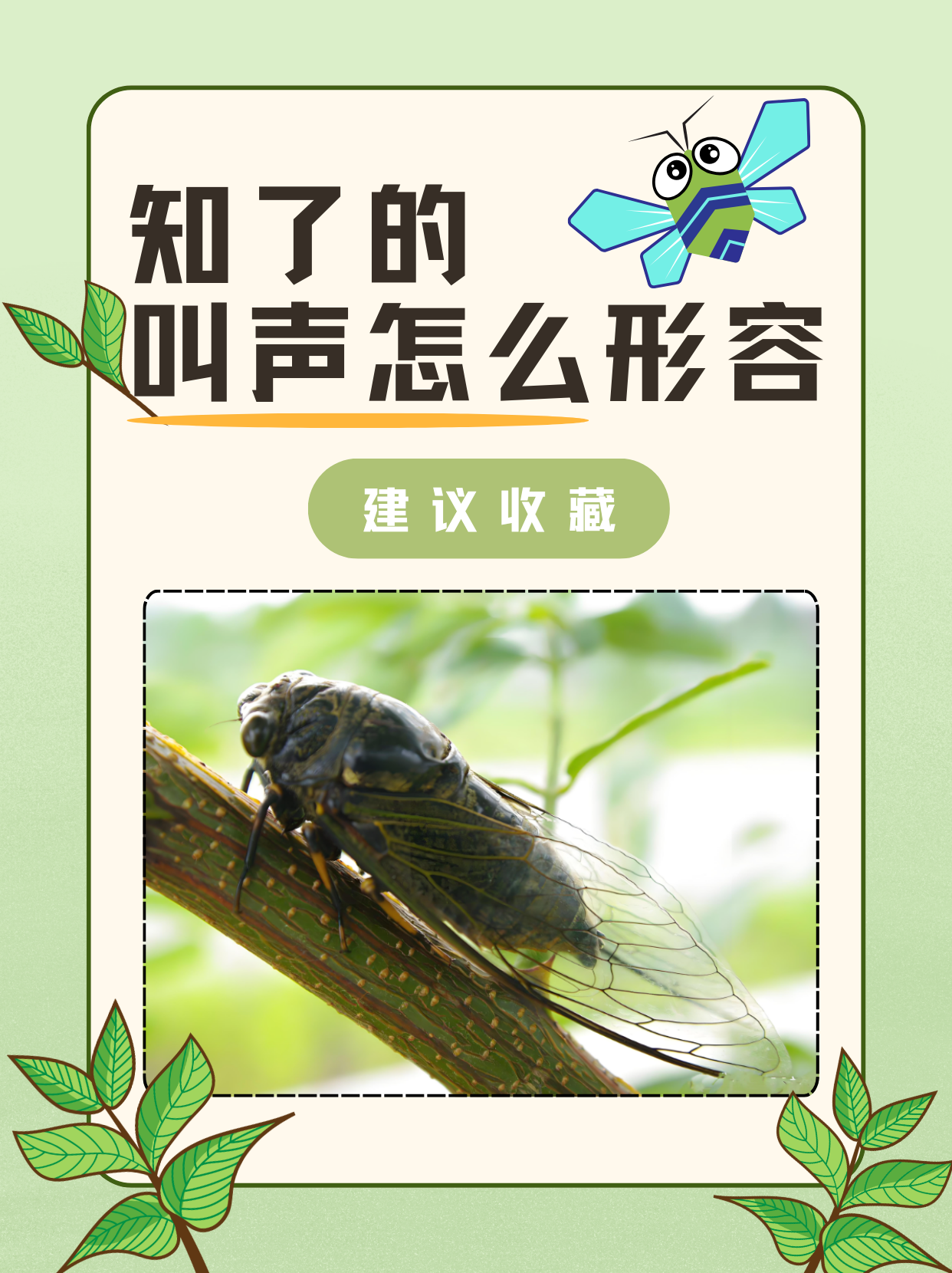 知了的叫声非常独特,常常让我想起炎炎夏日的