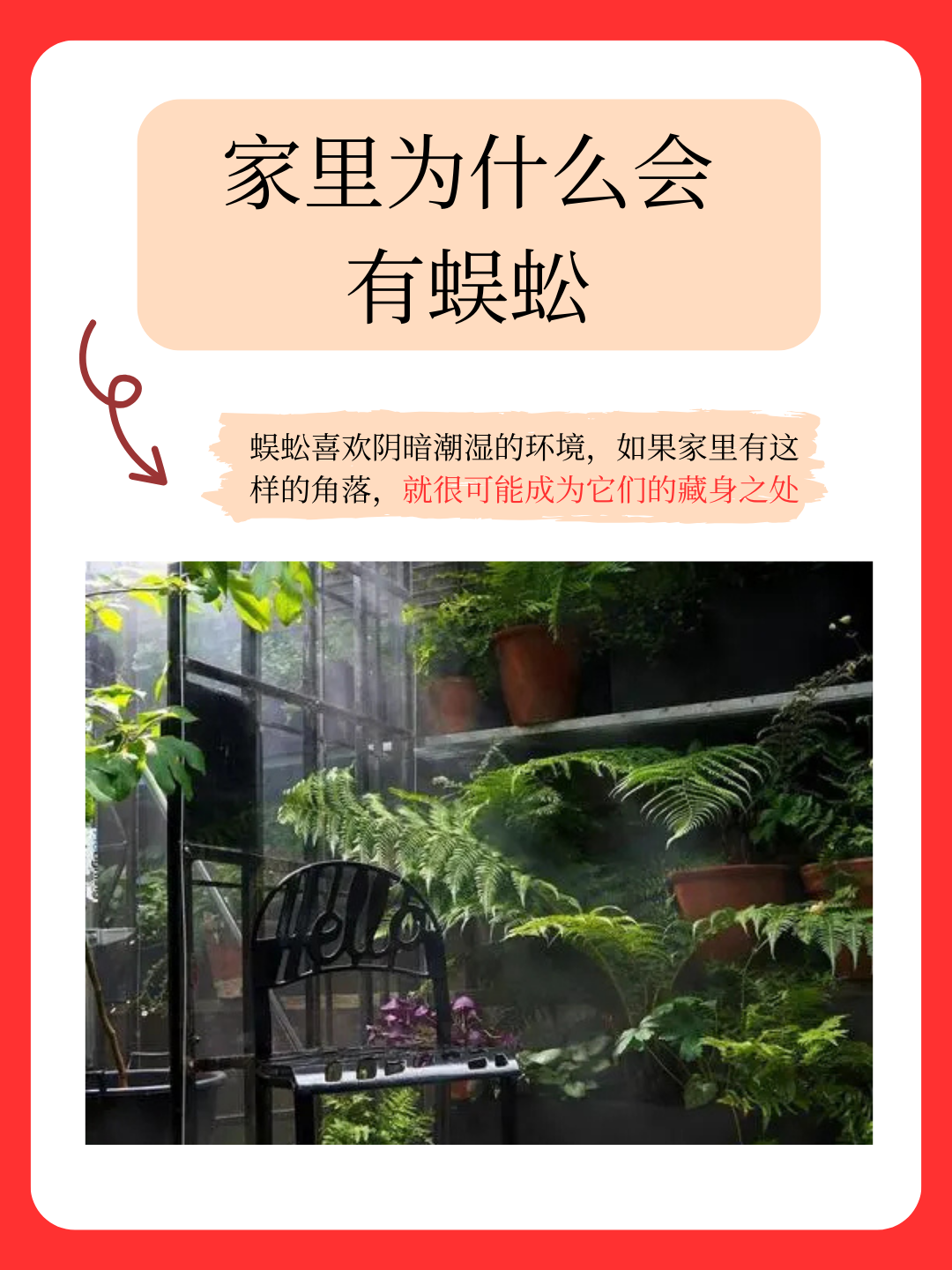 为什么不能踩死蜈蚣