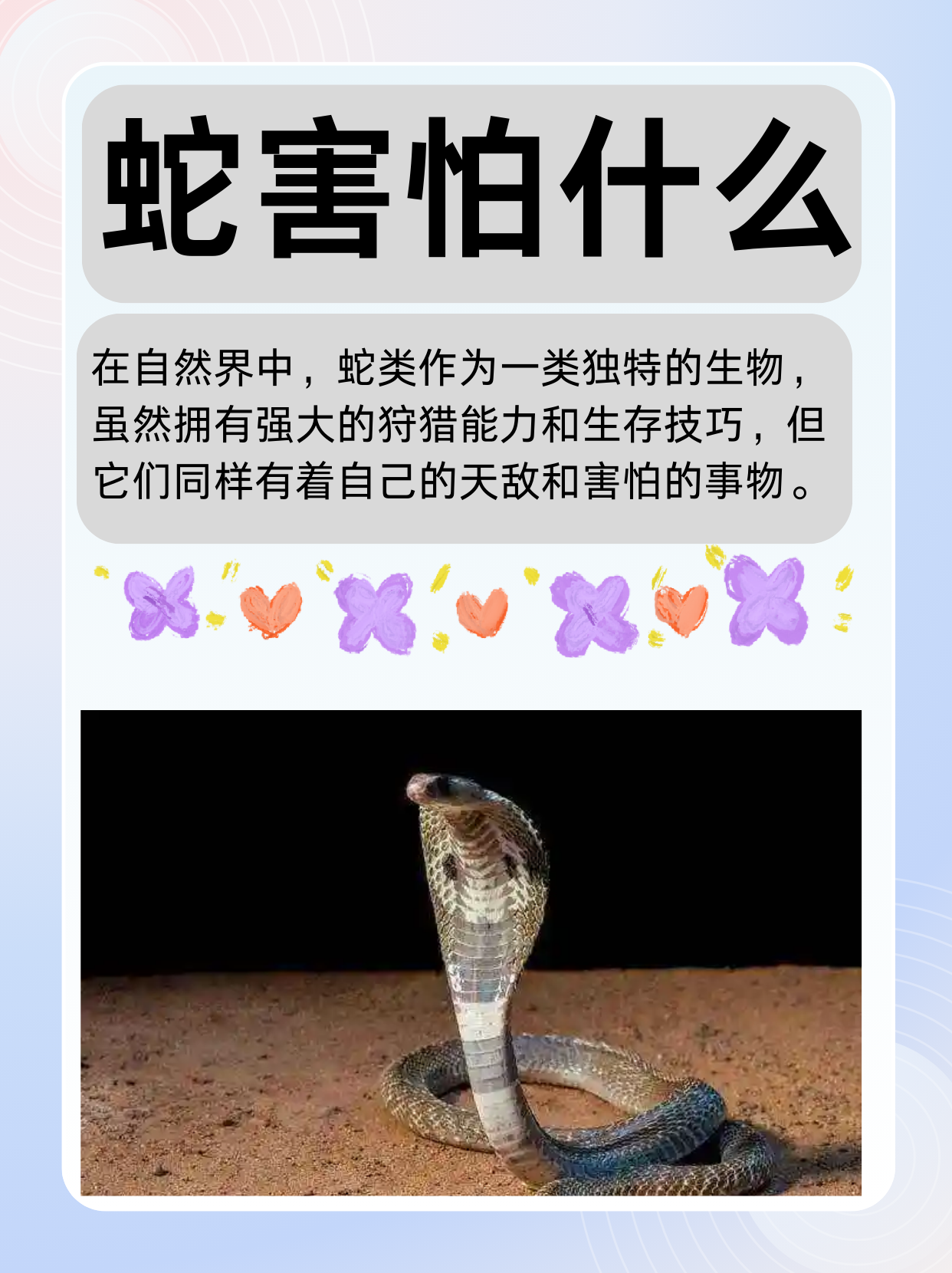 蛇没打死真的会复仇吗