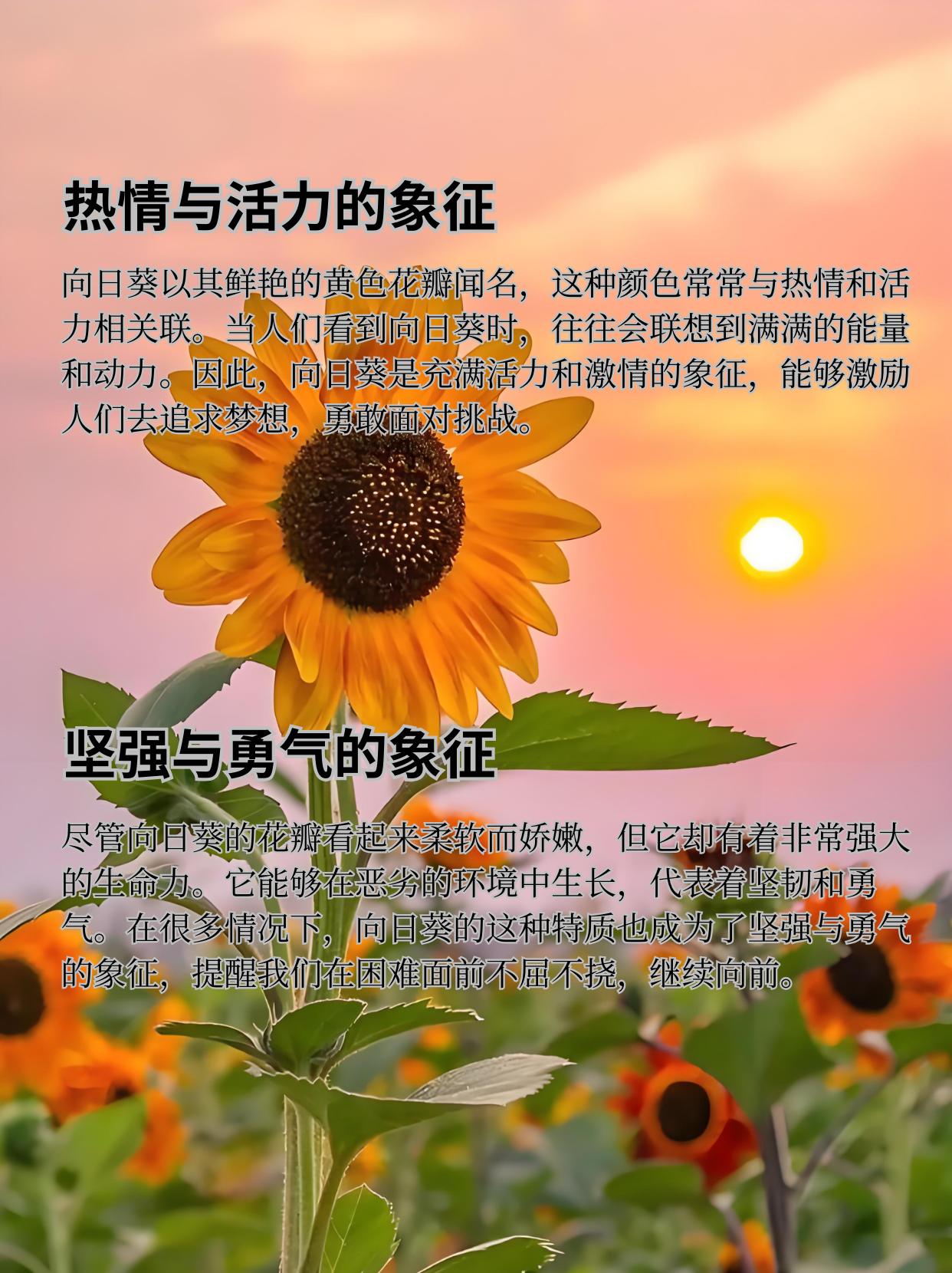 148寓意和象征
