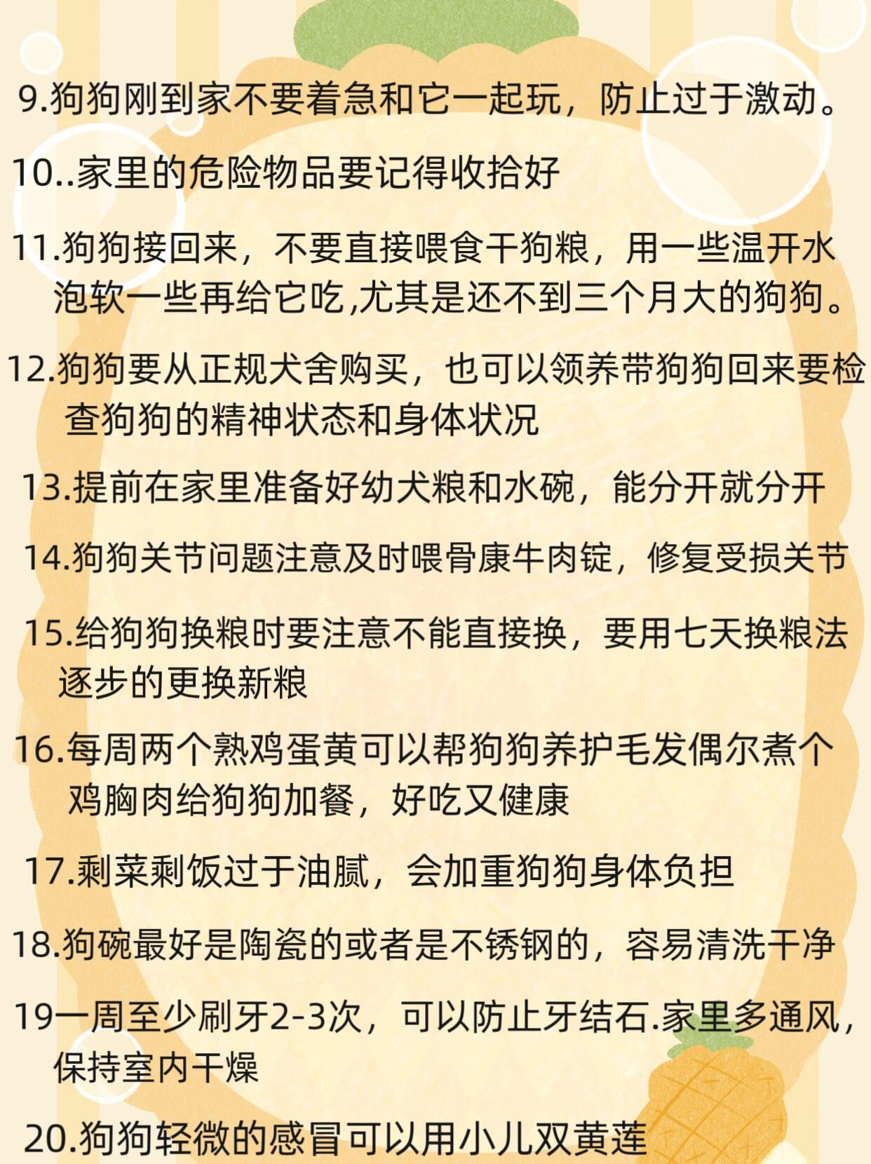 刚刚到家的狗狗?需要注意事项??
1小狗前期放在