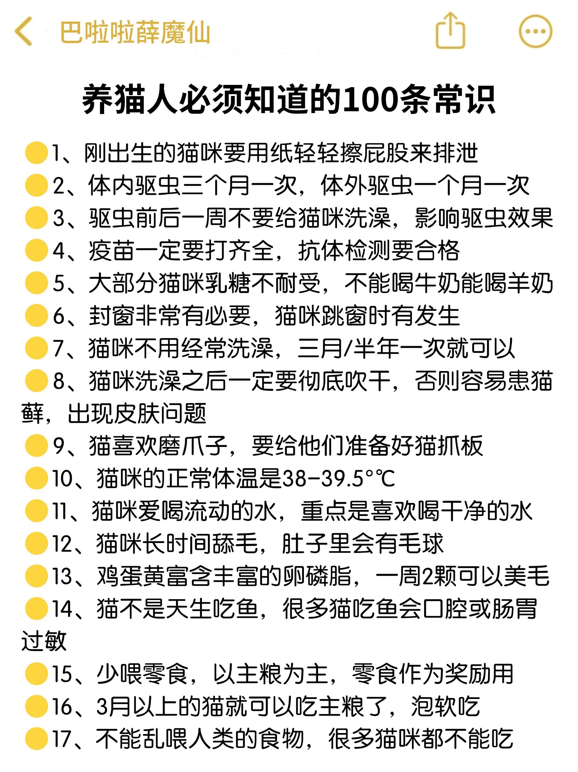 养猫人必须知道的100条养猫常识 很多新手铲屎官在刚开始养猫的时候