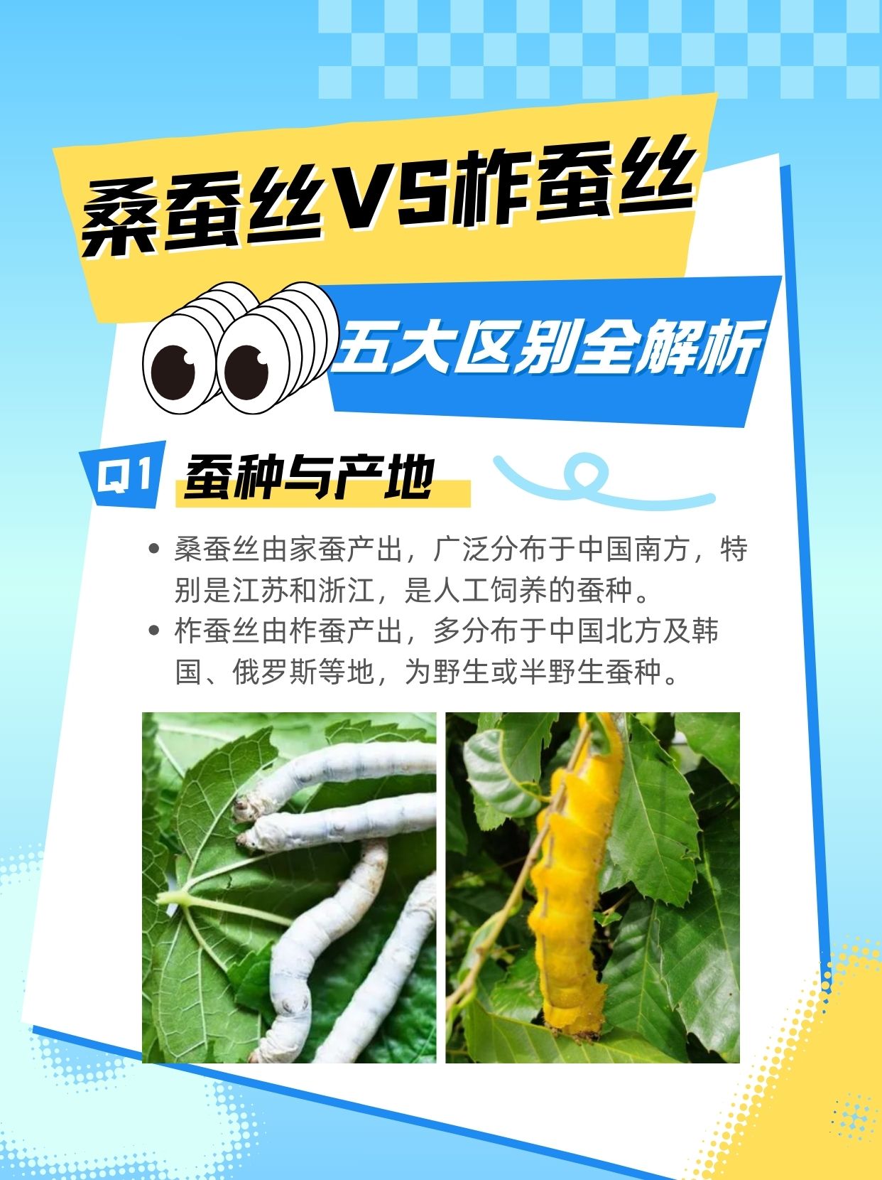 柞蚕丝属于什么档次