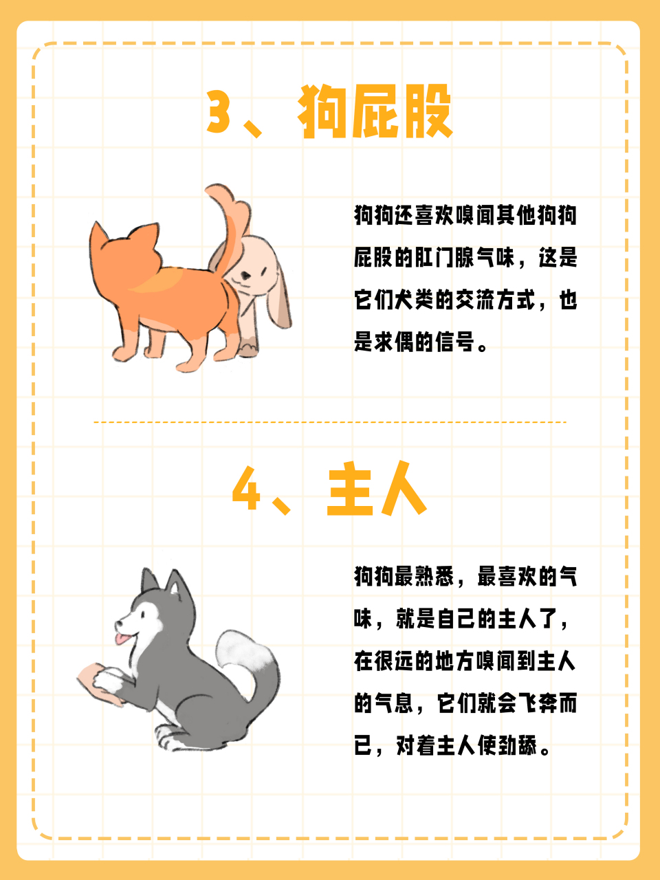 气味追踪犬品种图片