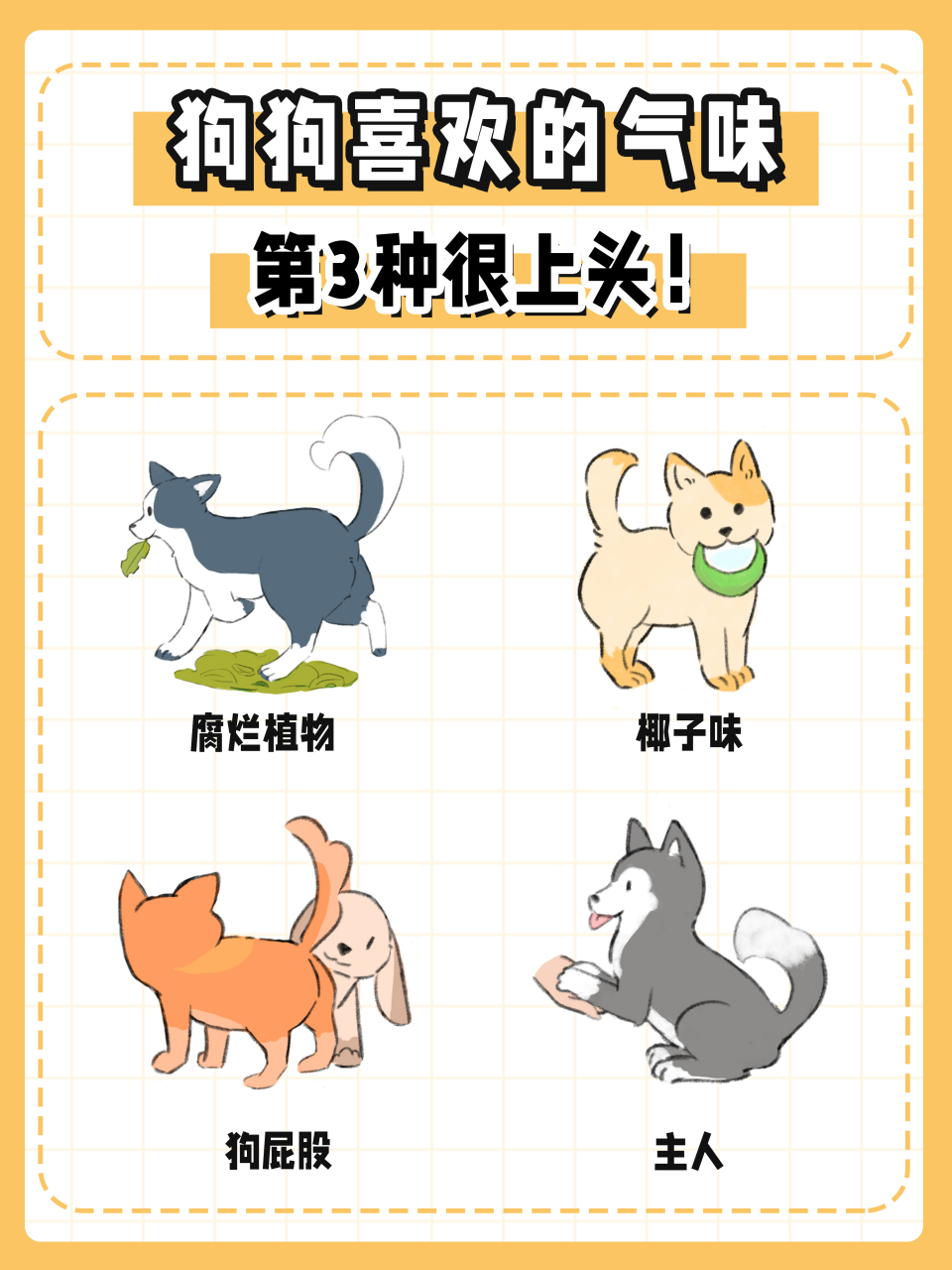 气味追踪犬品种图片