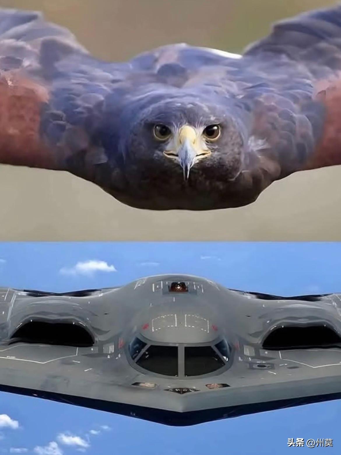 b-2"幽灵"轰炸机,也被称为隐形轰炸机,是世界上最先进,最具标志性的