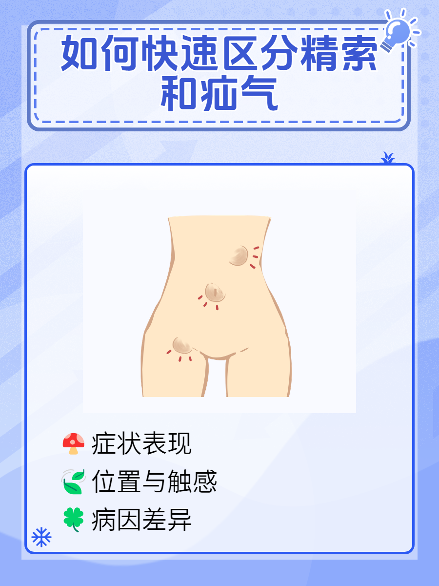 在探讨男性健康的角落里,精索与疝气是两个不容忽视的话题