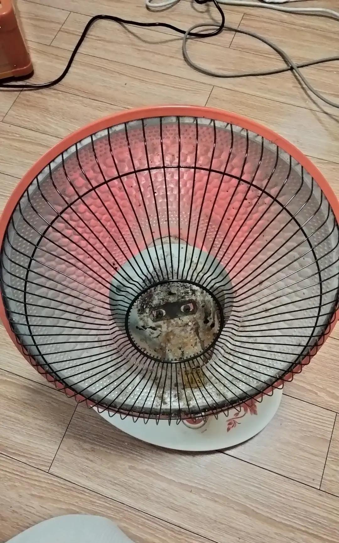 武汉的冬天没有北京的刺骨干冷没有哈尔滨的厚雪覆盖更没有南方湿