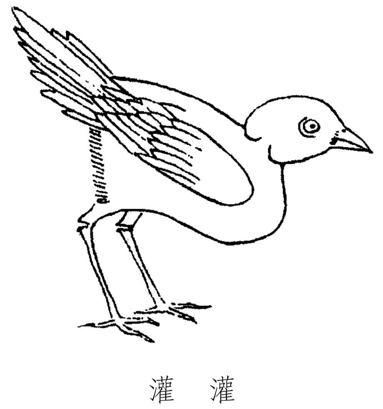 传说将它的羽毛作为佩饰随身携带,就能不被任何事物蛊惑