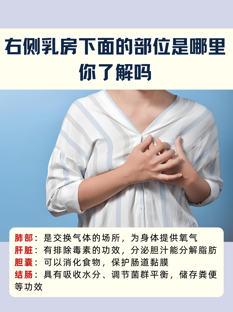 右侧乳房下面的部位是哪里,你了解吗  人体的结构比较复杂,在胸腔