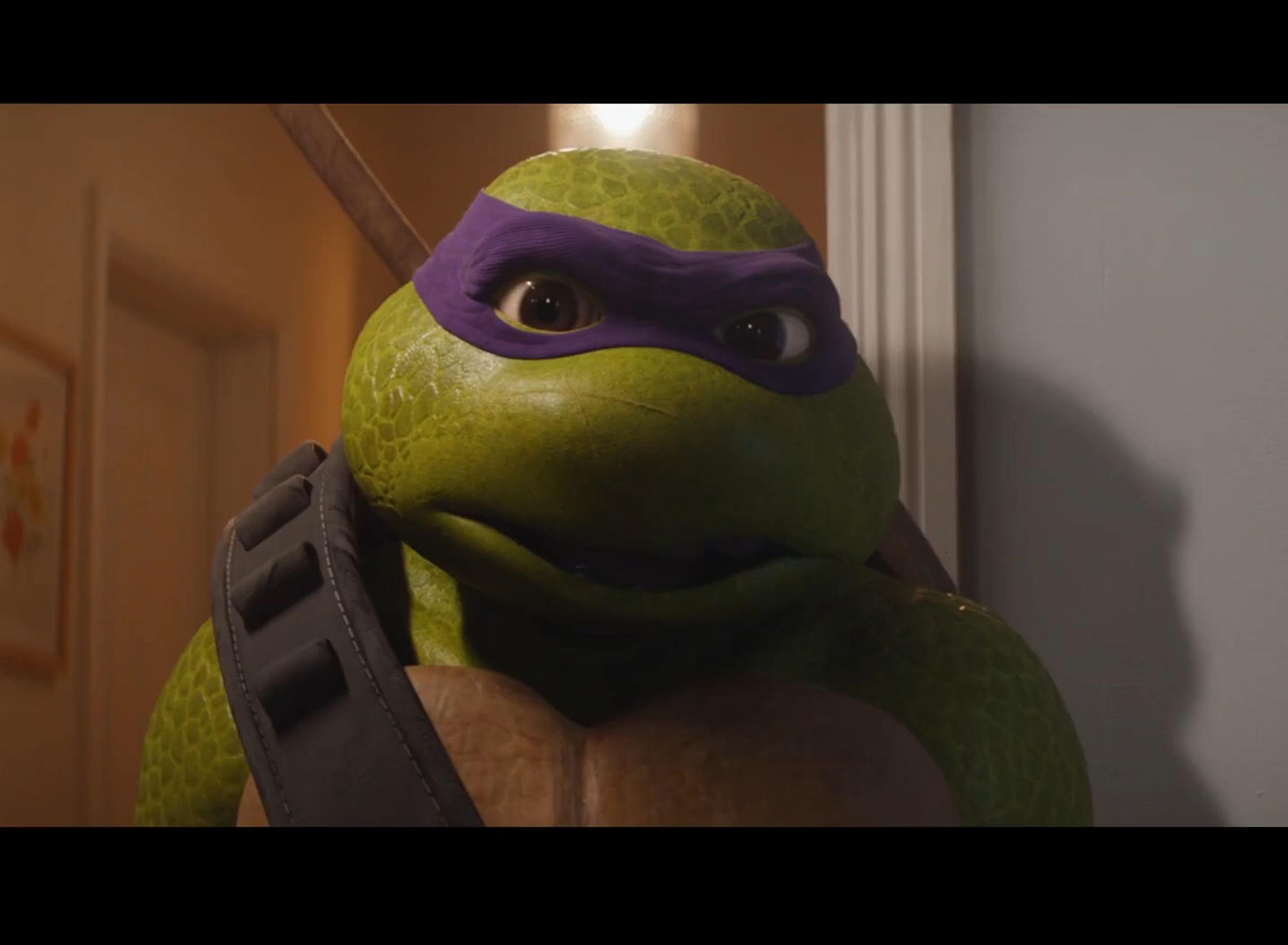 所以,每个牛马,都是忍者神龟.#职场