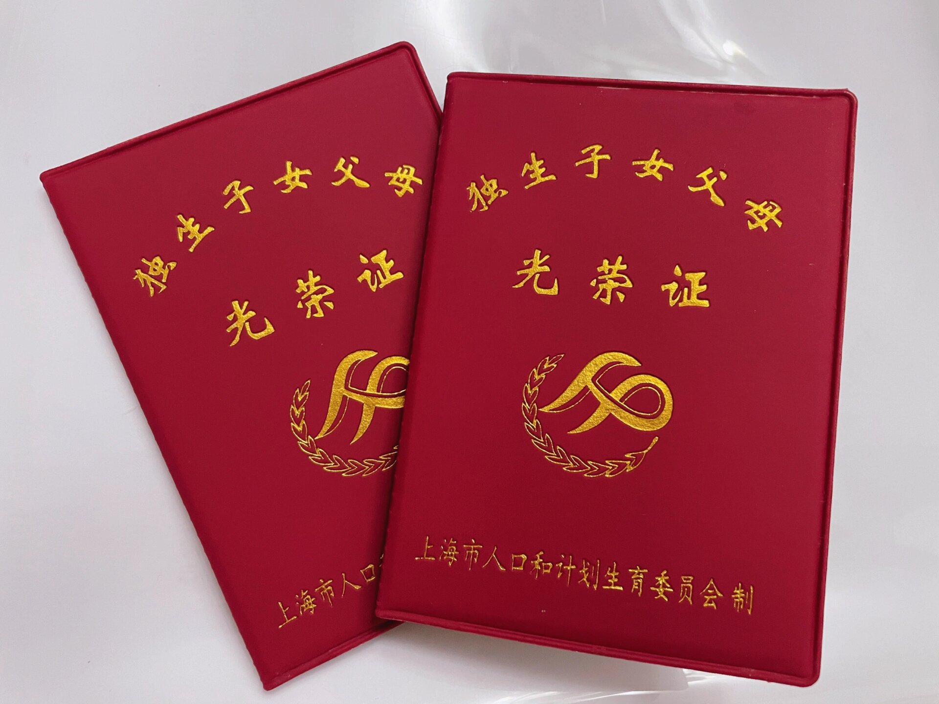 根据铁路部门规定,9月30日之后,纸质报销凭证将全面停用,由电子发票