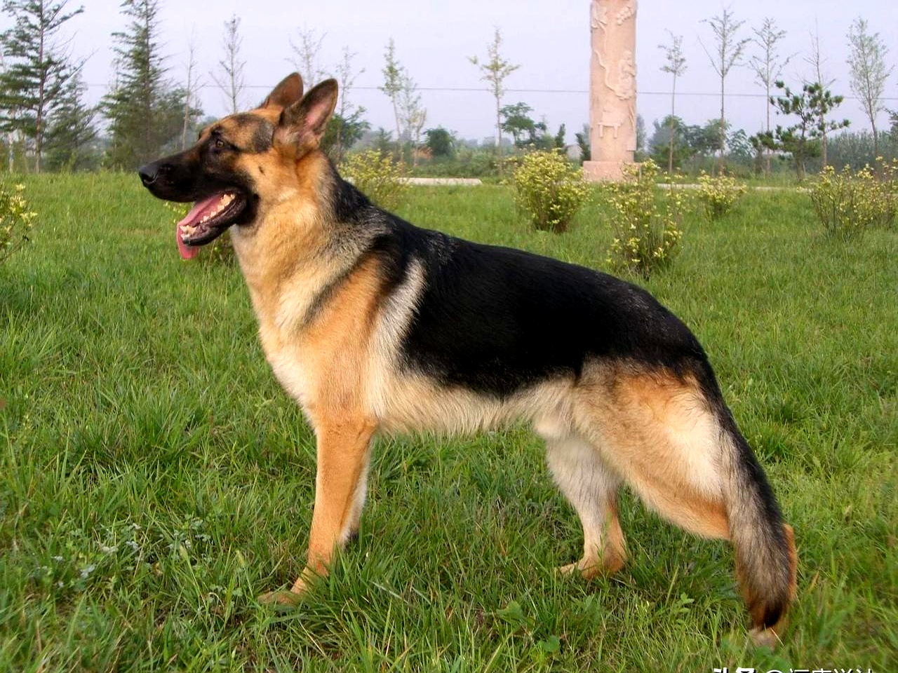 以为找到了条赚钱的捷径,结果把自己给坑惨了!