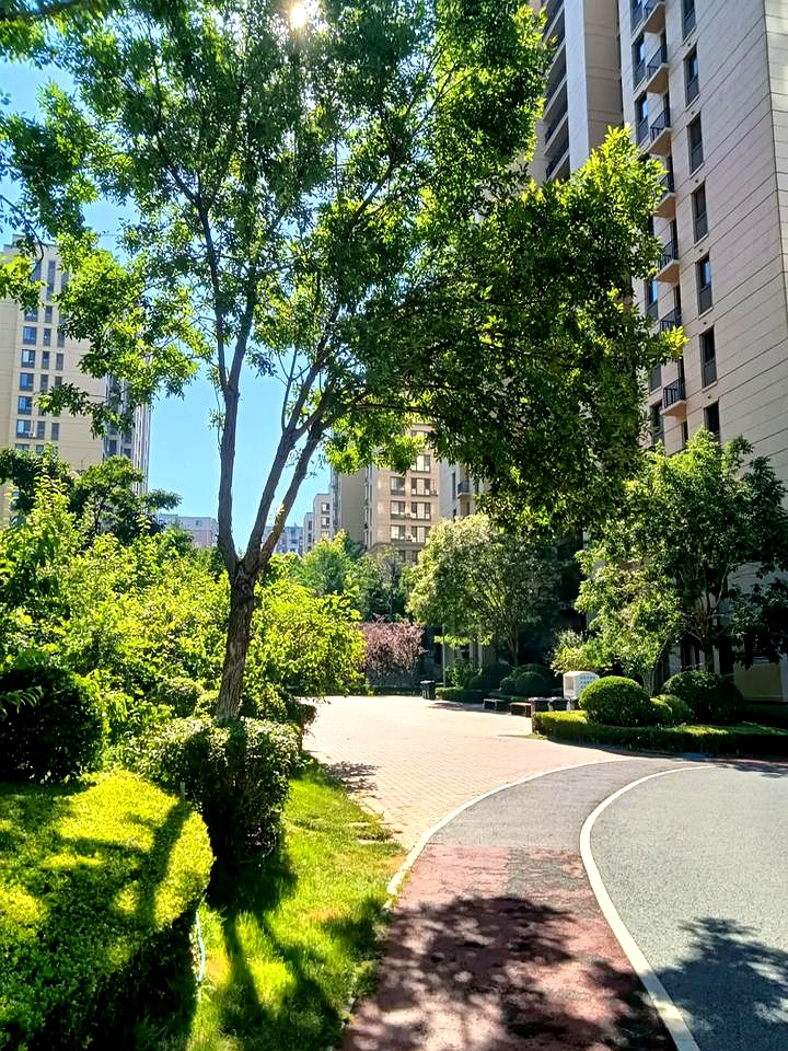 我和老公分居后就来城里跟儿子一起住了七年