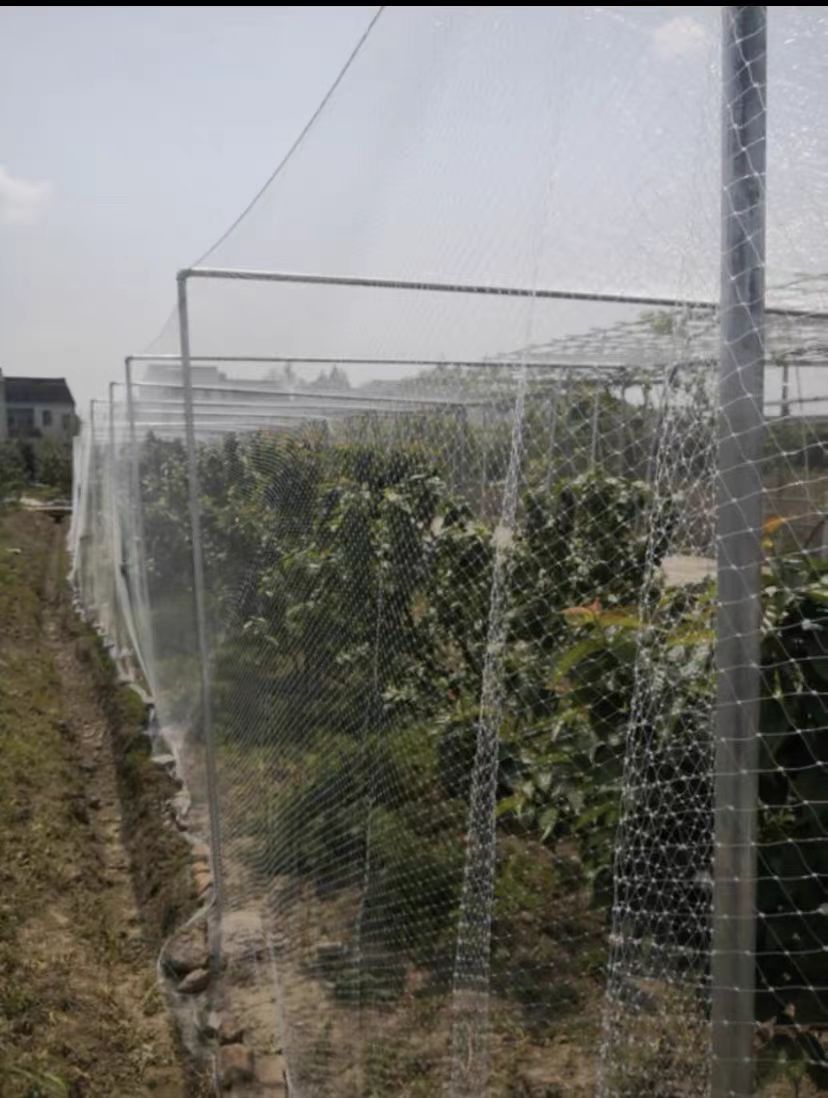 渔网行业的发展趋势及定制解决方案