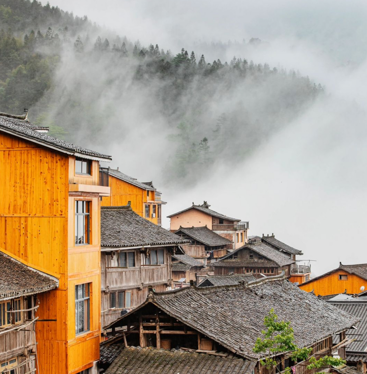 堂安侗寨,贵州黎平大山里的小侗寨,位于网红侗寨肇兴侗寨的山顶上