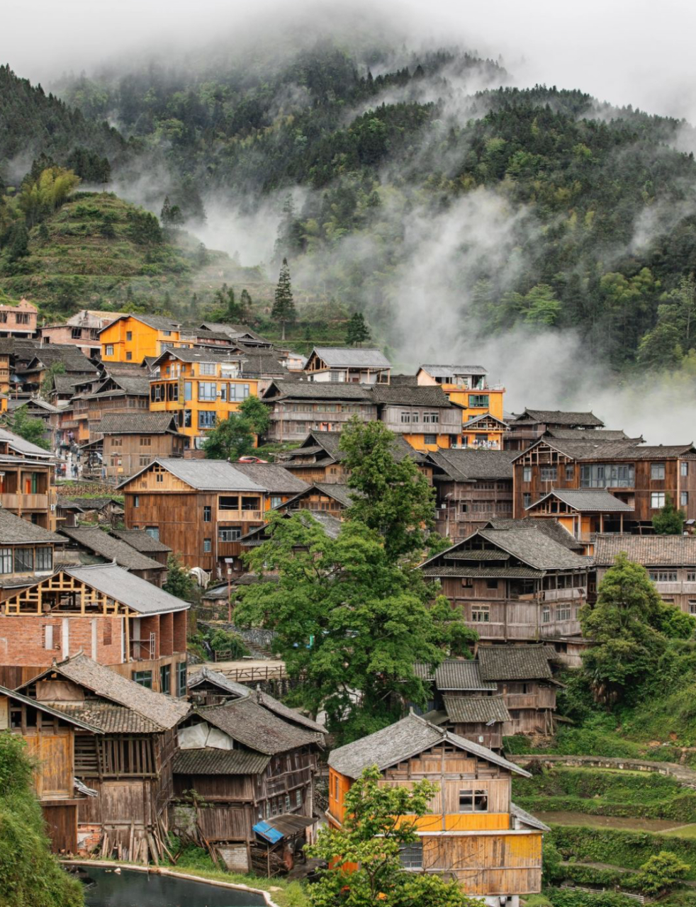 堂安侗寨,贵州黎平大山里的小侗寨,位于网红侗寨肇兴侗寨的山顶上