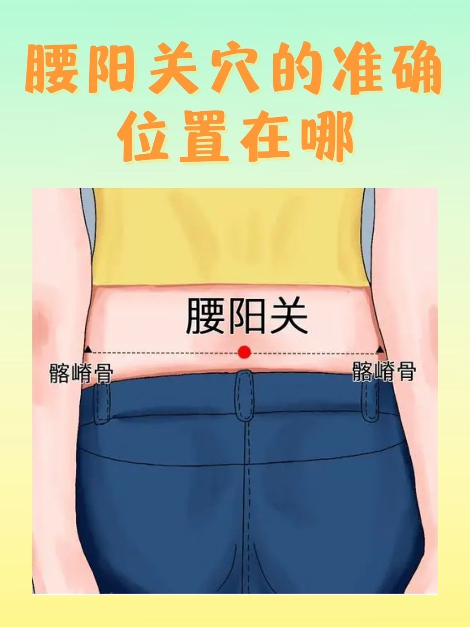那么,腰阳关穴的准确位置究竟在哪里呢?