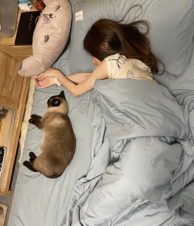 猫为什么睡主人头旁边