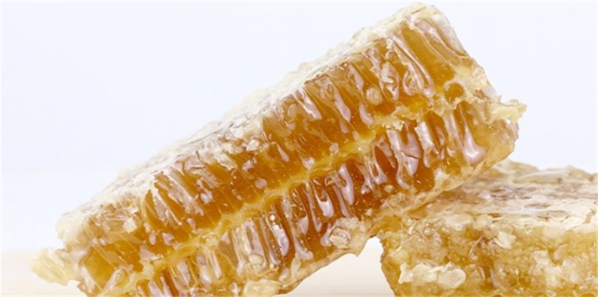 蜂蜜的嘴巴(蜂蜜嘴什么意思)