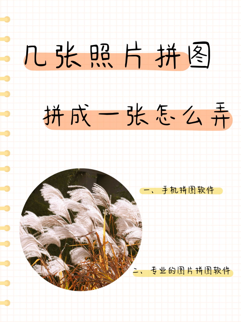 几张照片拼图拼成一张怎么弄  老妈前段时间出去旅游了,于是我的朋友