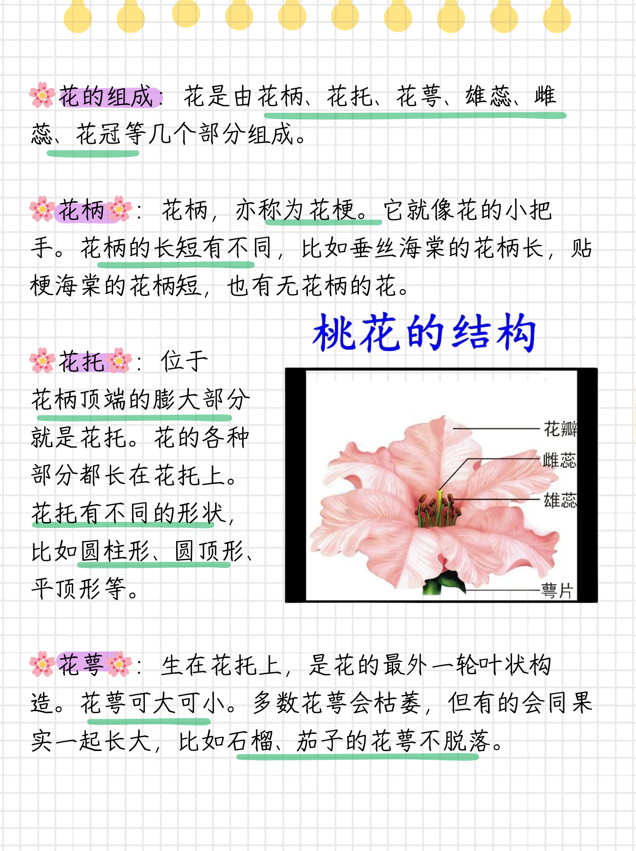 花的结构示意图  花的结构