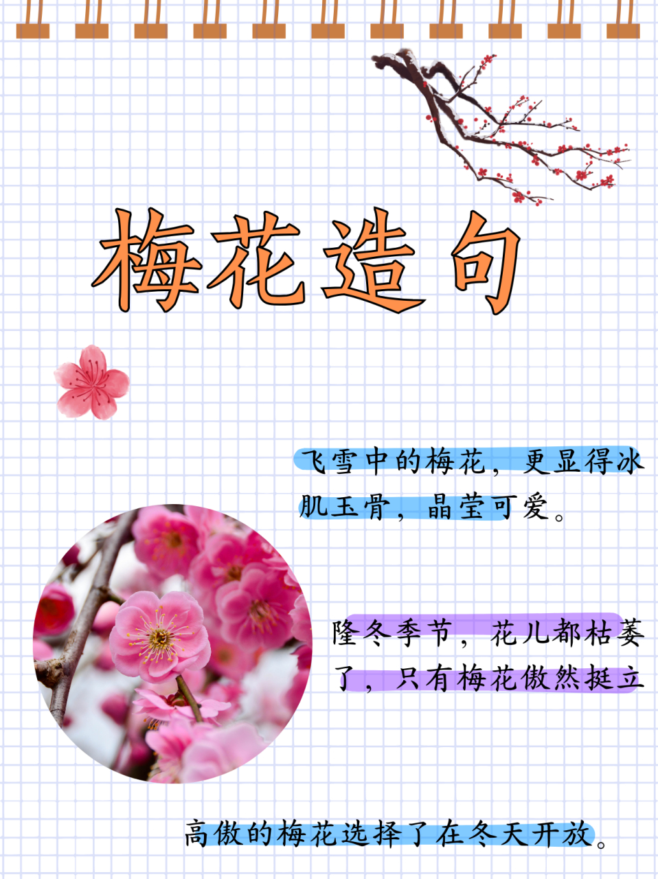 每当冬天,万物枯竭,梅花依然独自傲然开放.