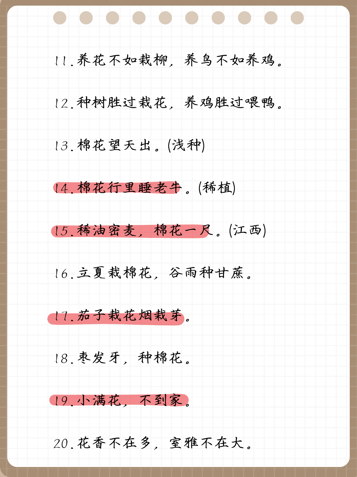 和花有关的谚语或优美的句子