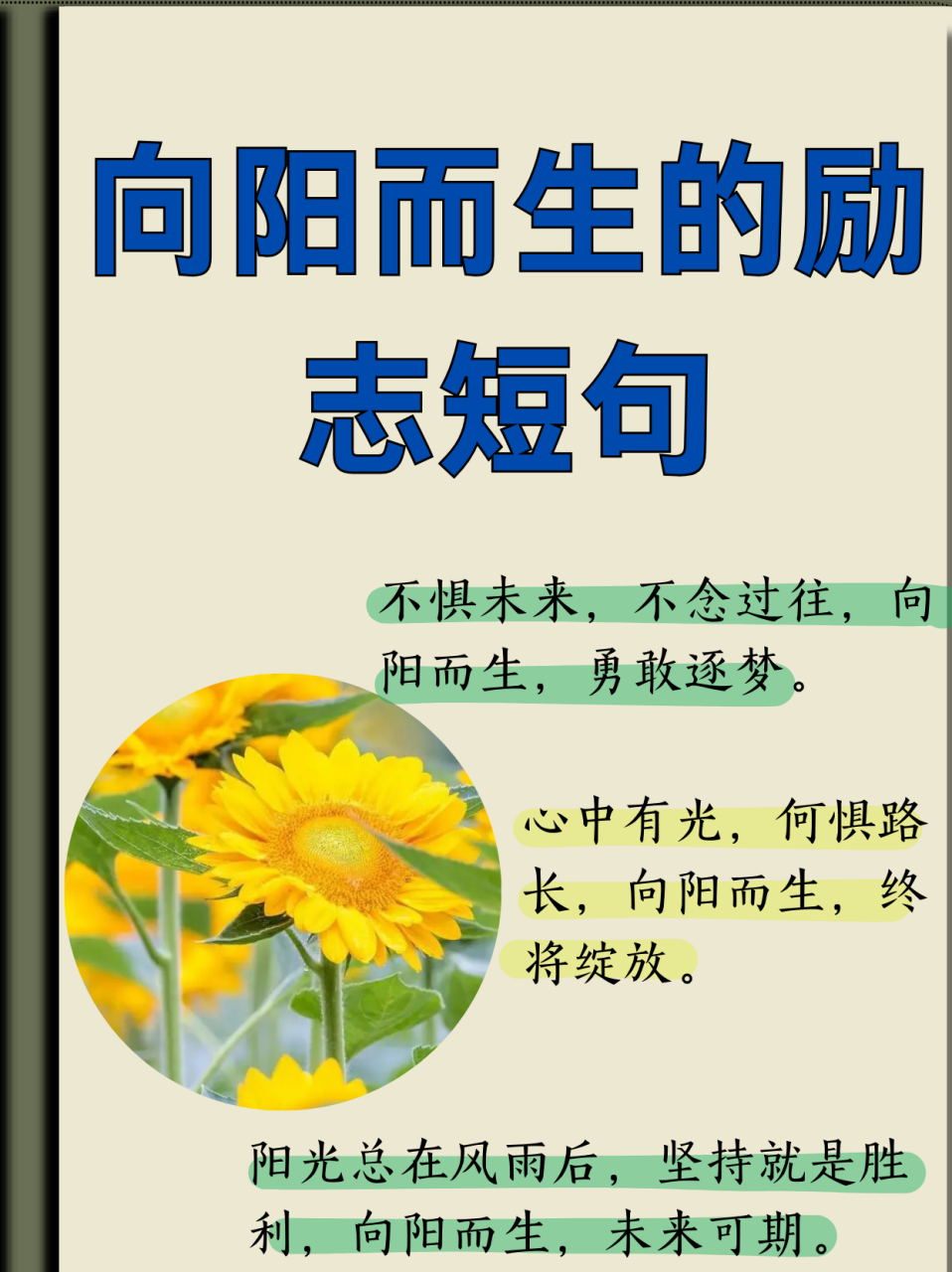 向阳而生的励志短句  心向阳光,无畏悲伤,每一步都踏着希望的光芒.