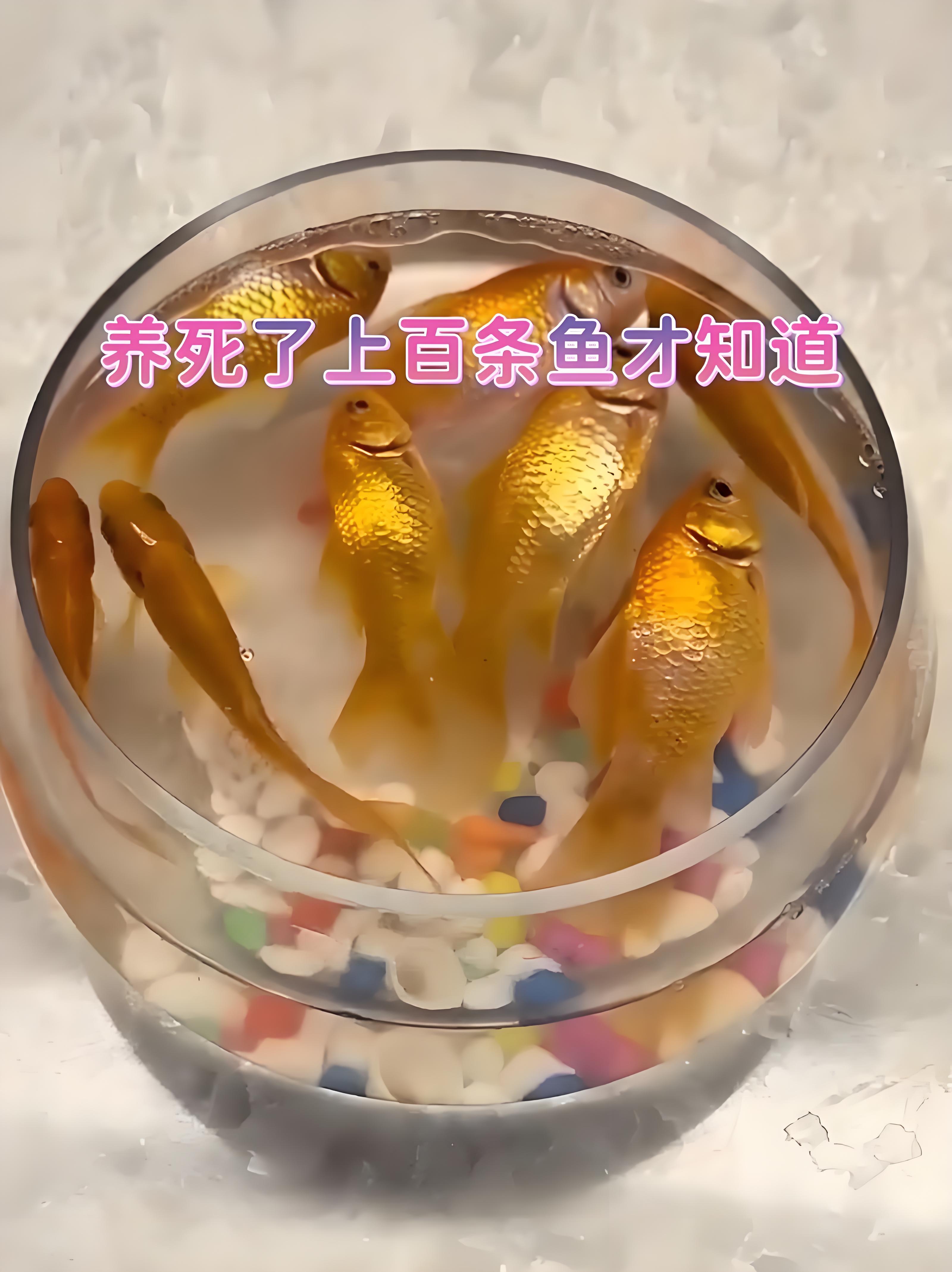 鱼死了超度-鱼死了是吉兆还是凶兆